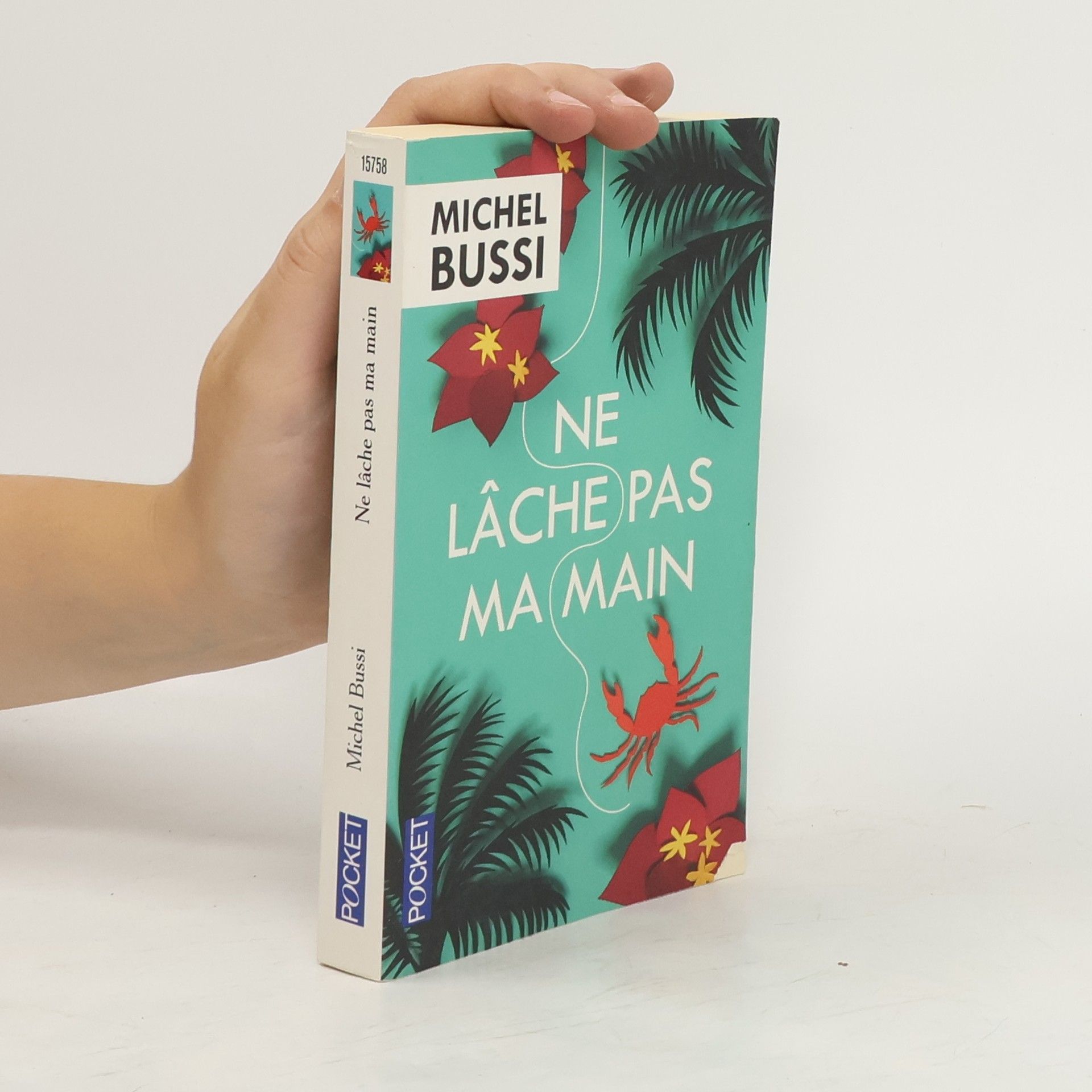 Michel Bussi Ne lâche pas ma main