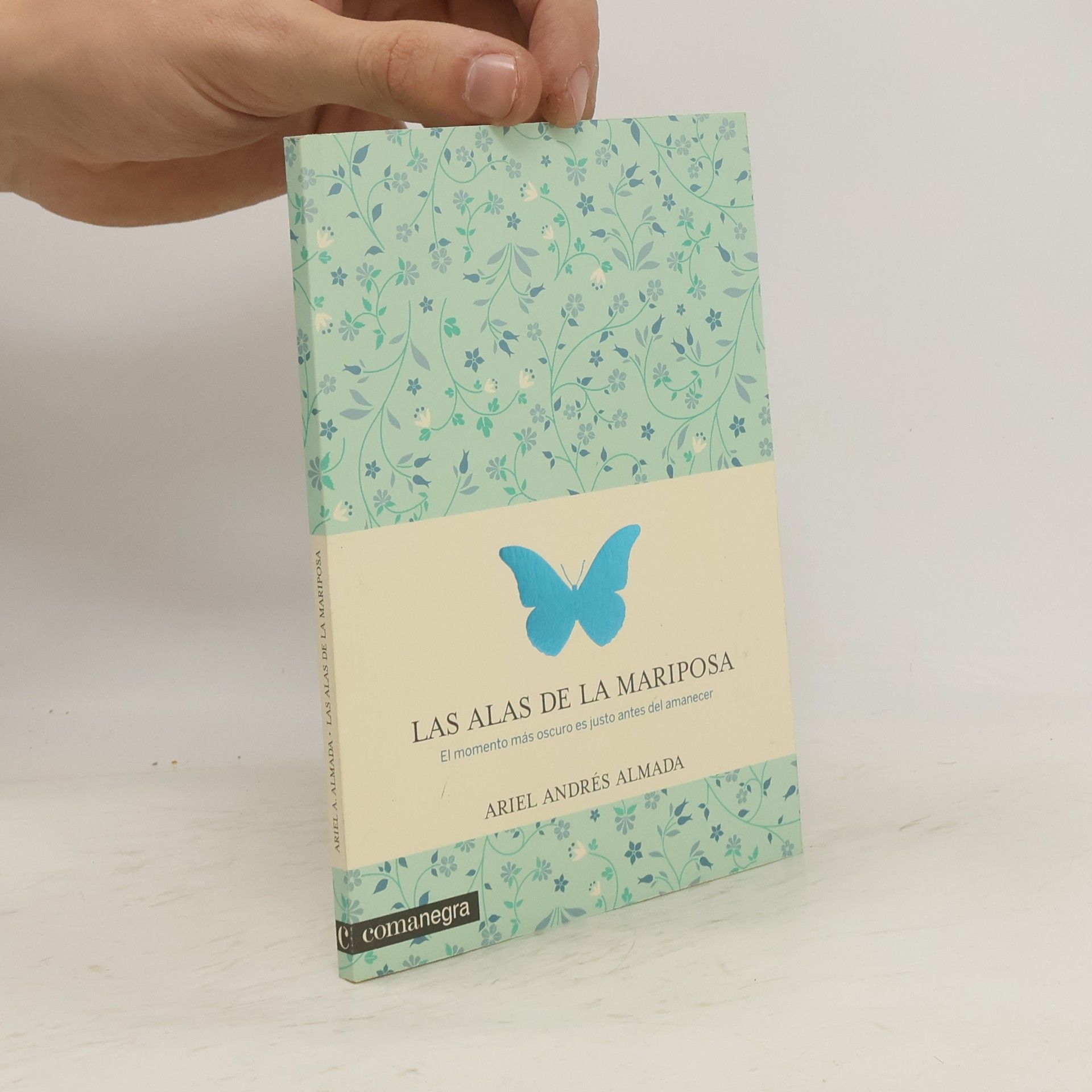 Ariel Andres Almada Las alas de la mariposa