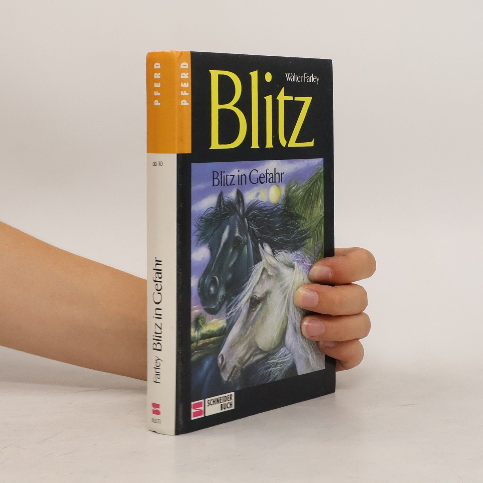 Walter Farley Blitz. Blitz in Gefahr