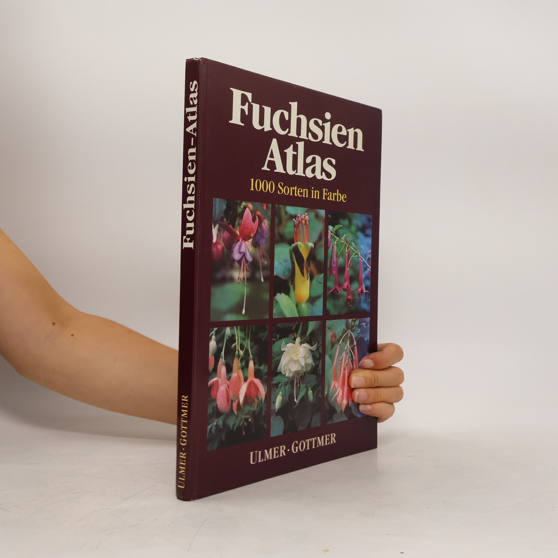 Miep Nijhuis Fuchsien-Atlas