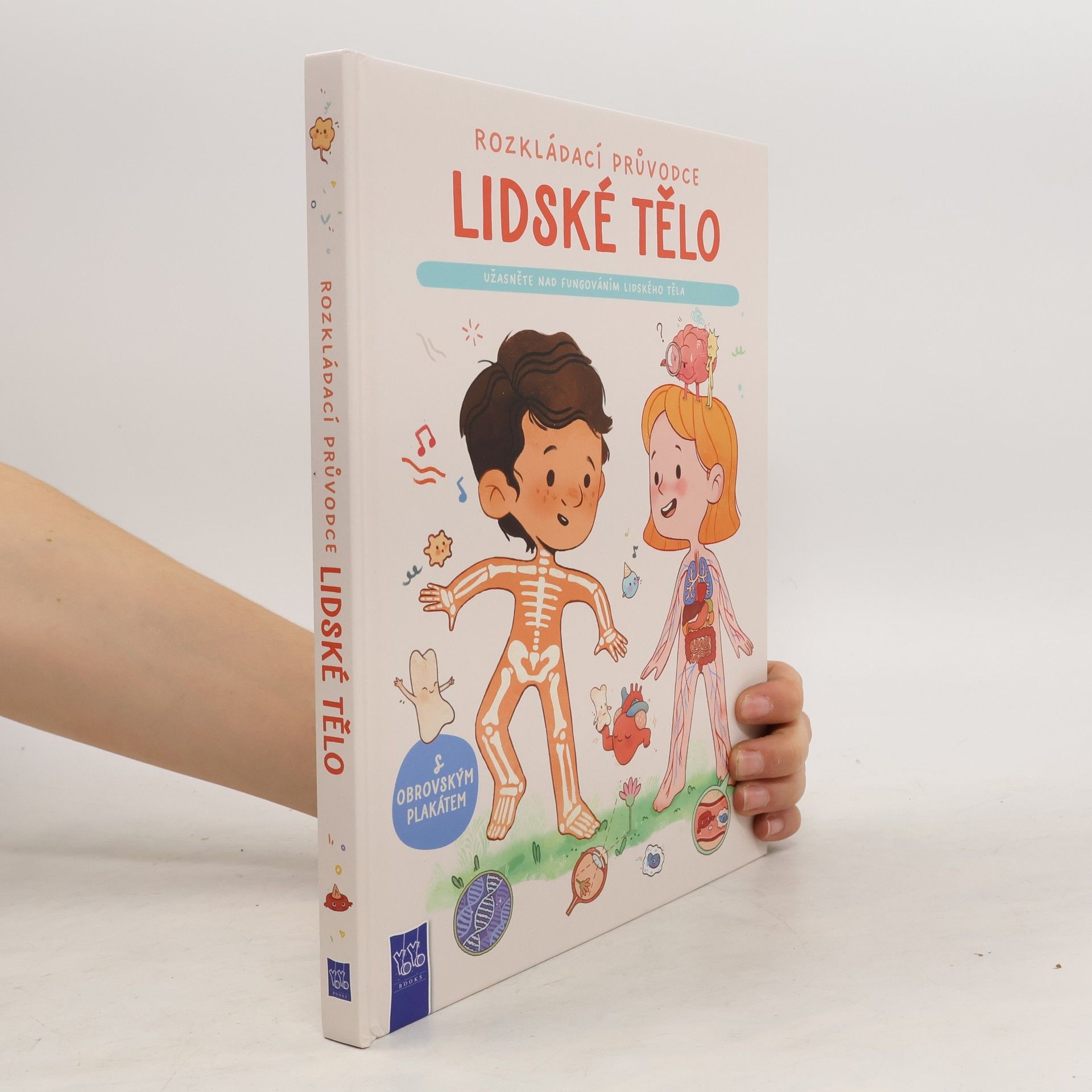 Autorenkollektiv Rozkládací průvodce: Lidské tělo