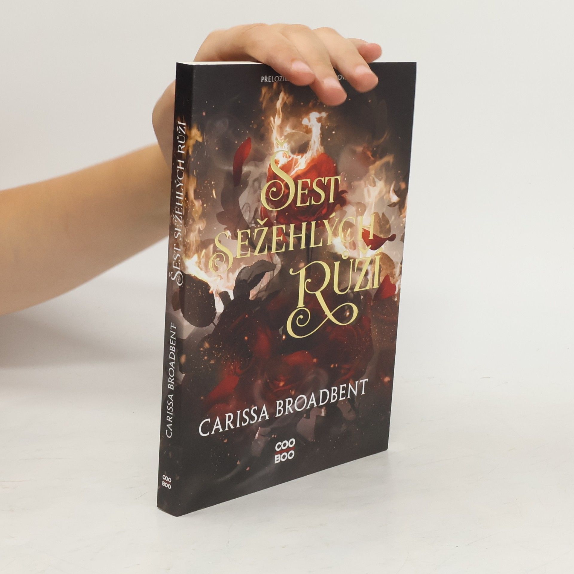 Carissa Broadbent Šest sežehlých růží
