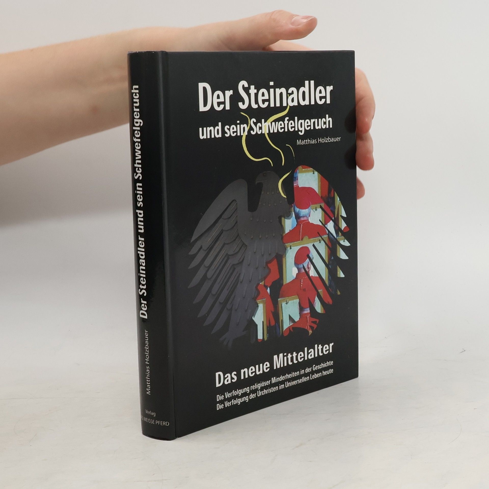 Matthias Holzbauer Der Steinadler und sein Schwefelgeruch - Das neue Mittelalter