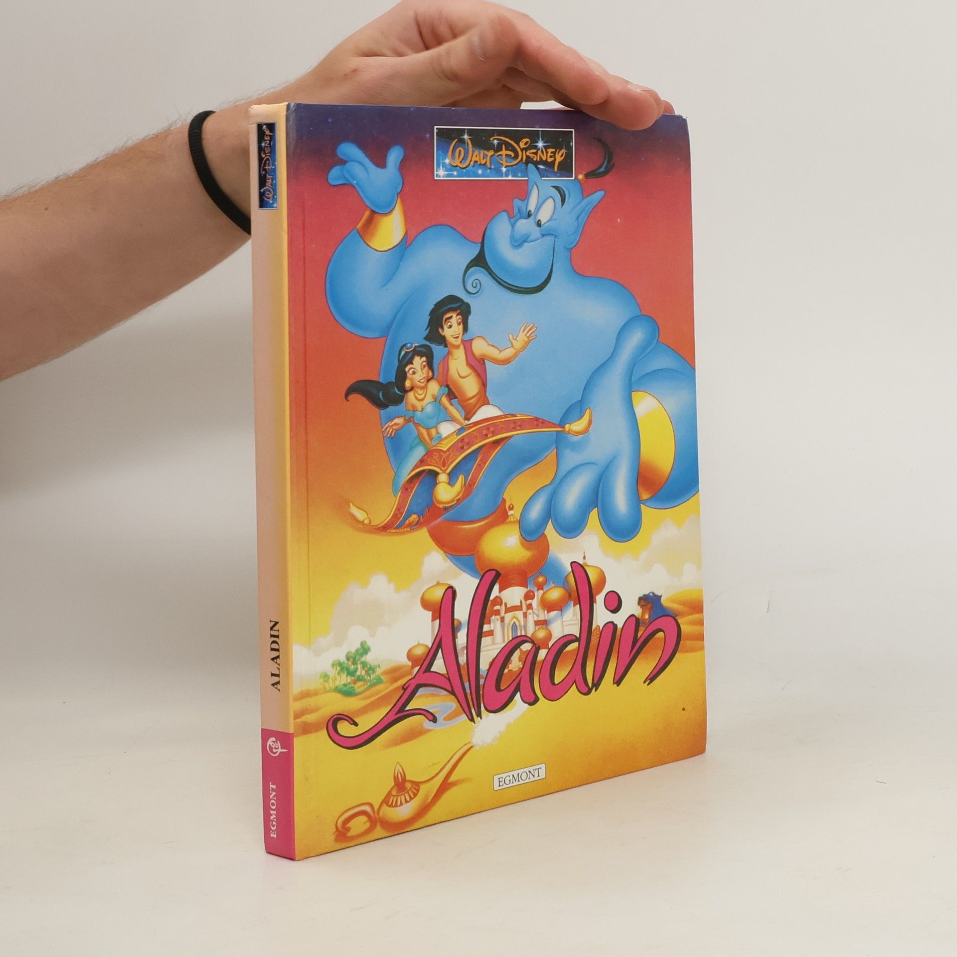 Kolektiv autorů Aladin