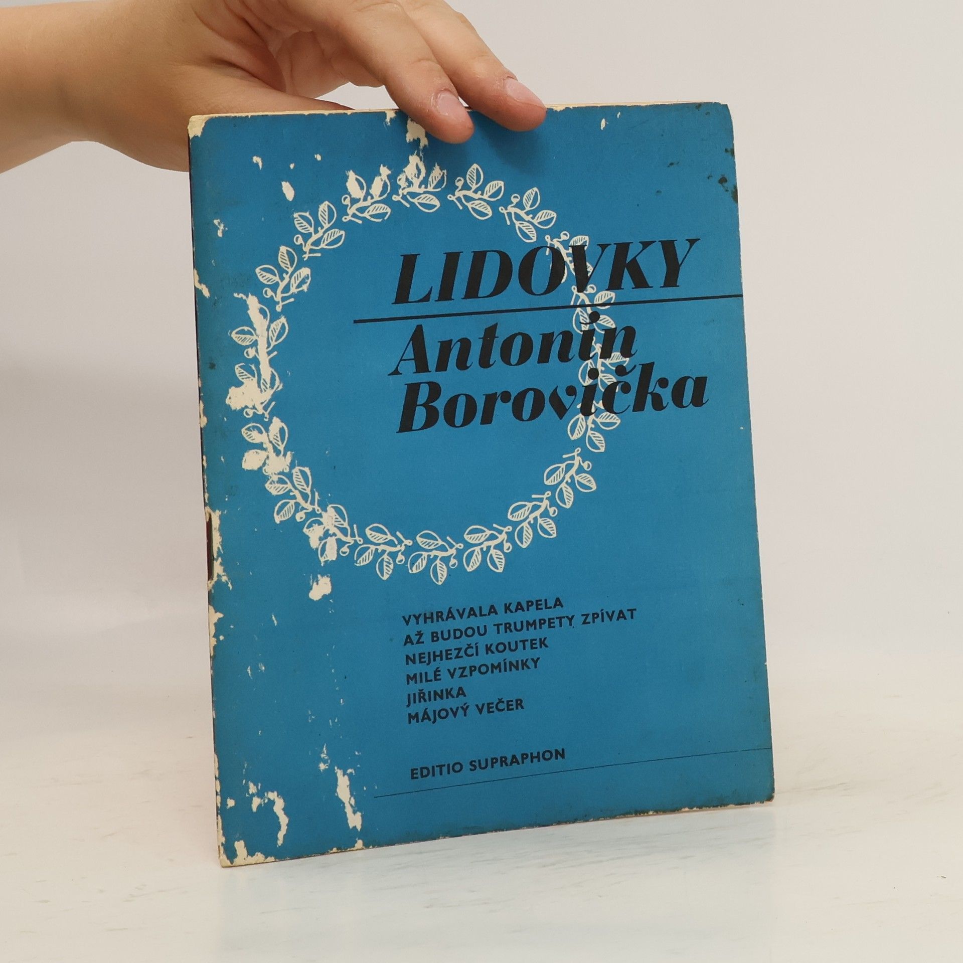 Antonín Borovička Lidovky