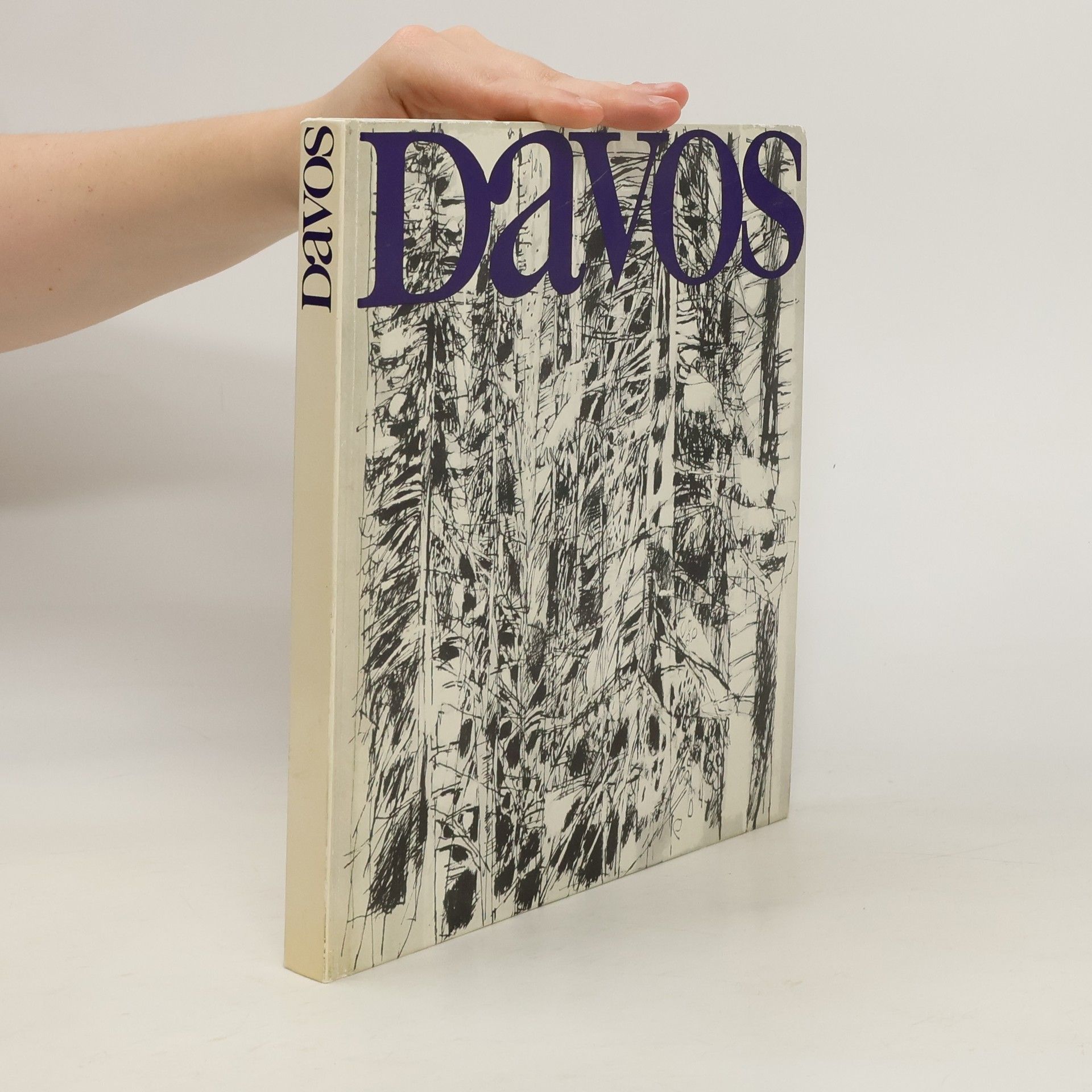 Fritz Dürst Davos und seine Täler