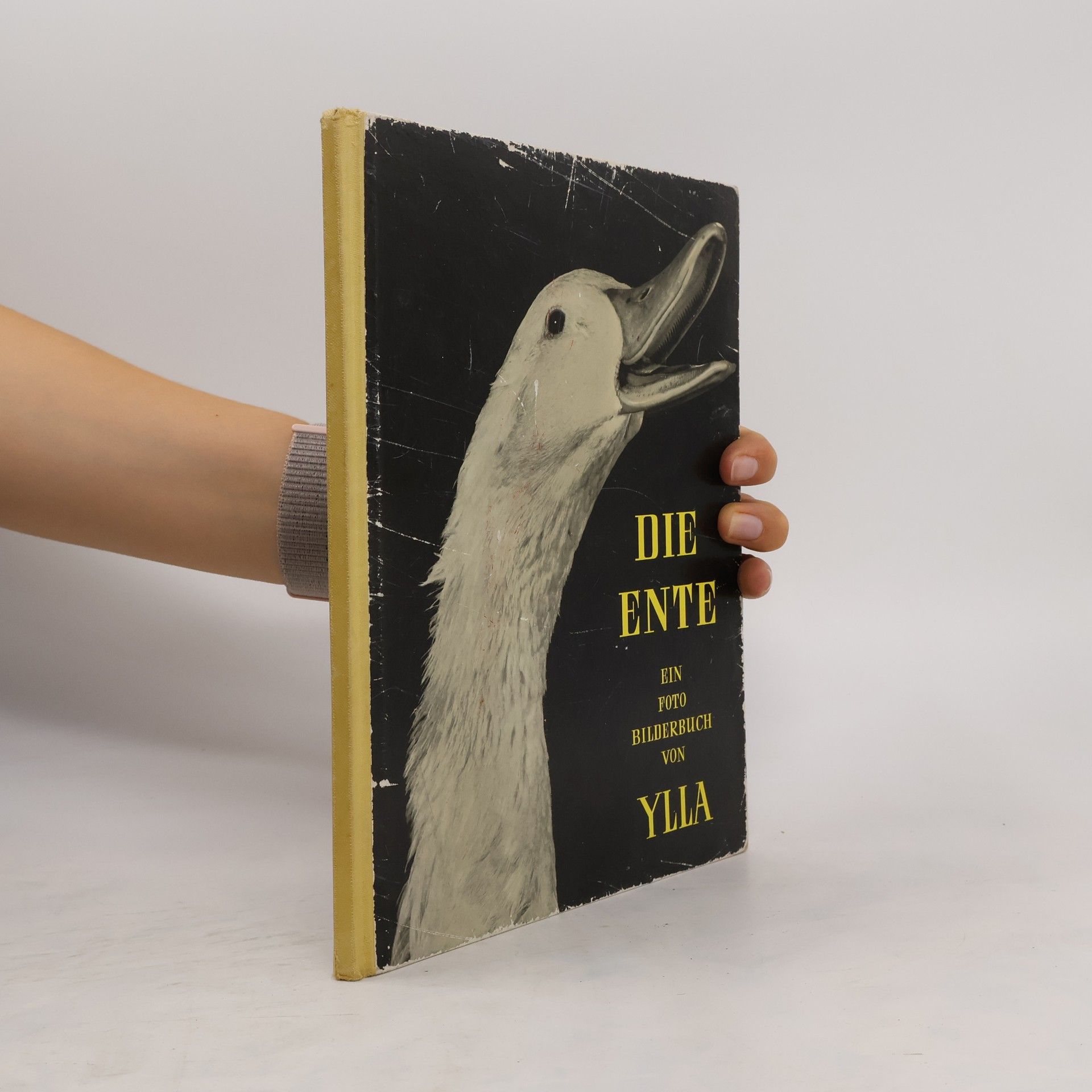 Ylla Die Ente