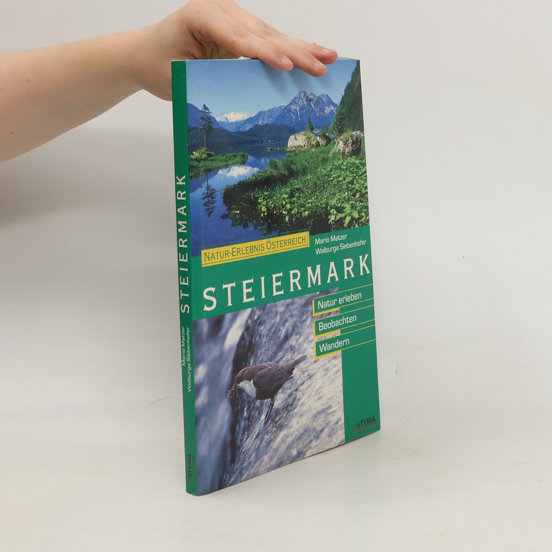 Mario Matzer Steiermark