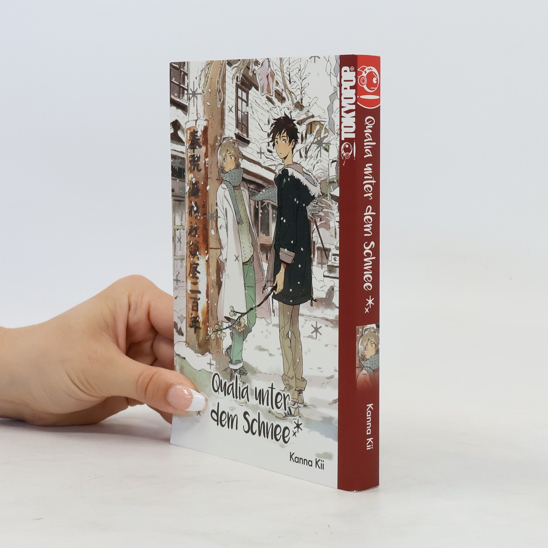 Qualia unter dem Schnee