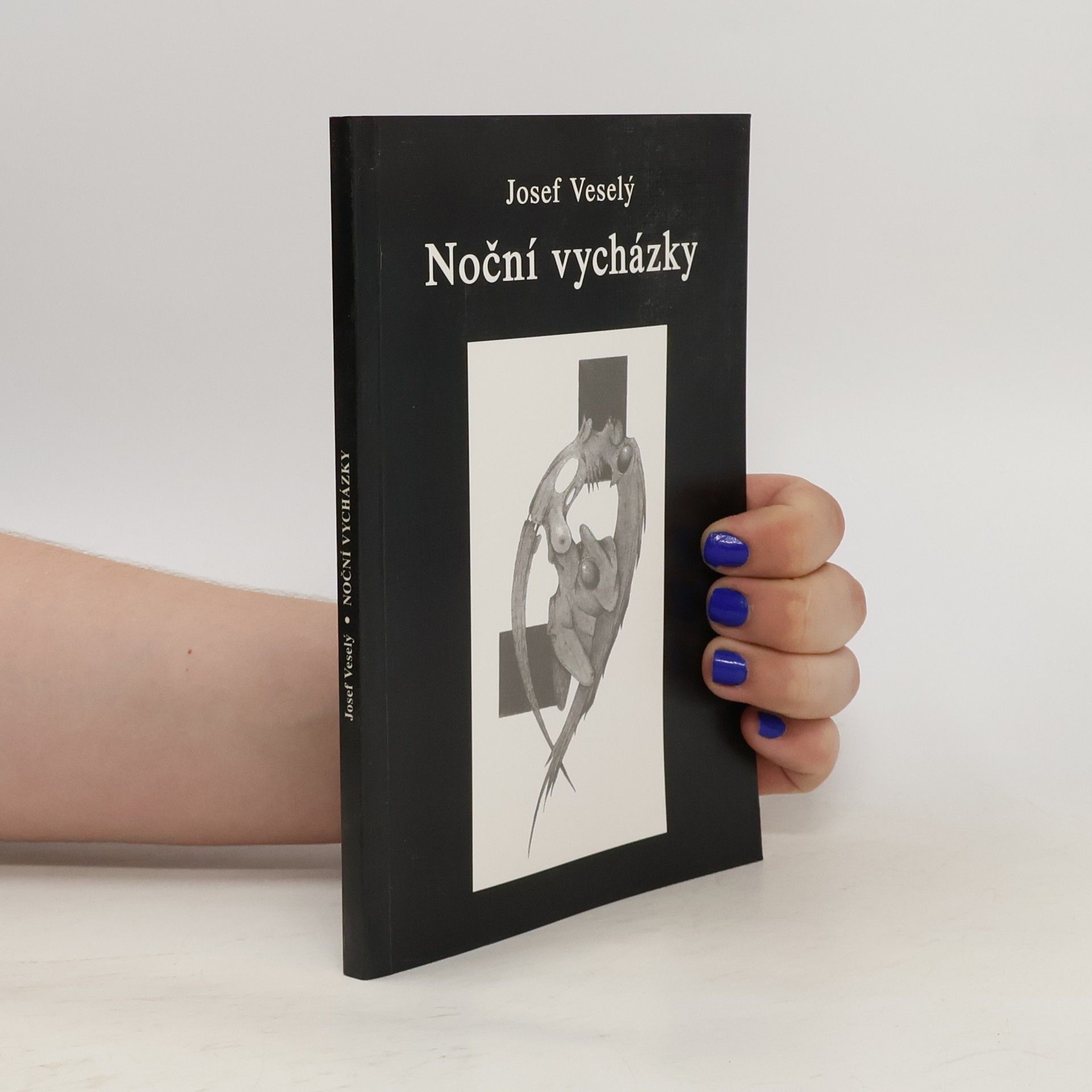 Josef Veselý Noční vycházky