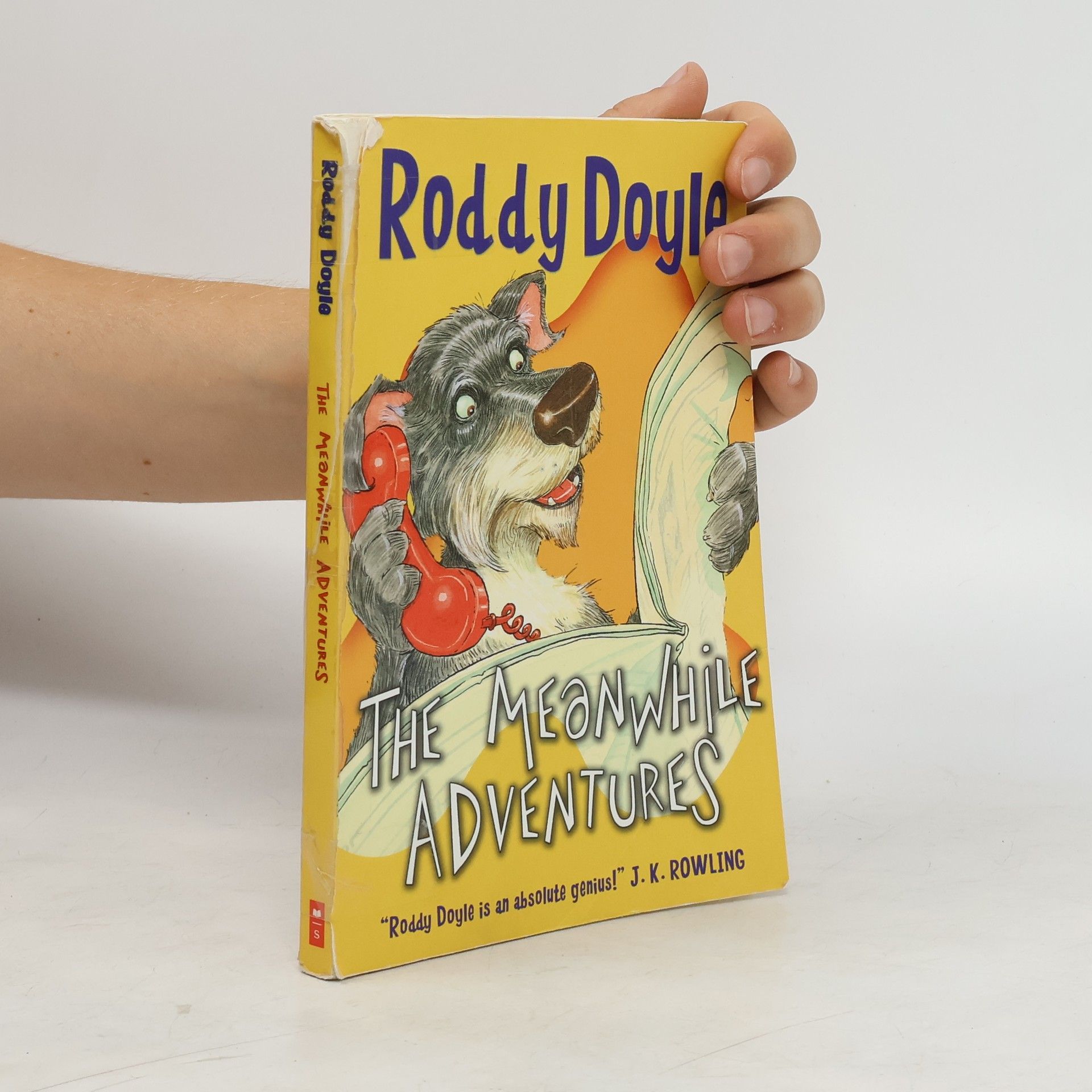 Roddy Doyle The Meanwhile Adventures