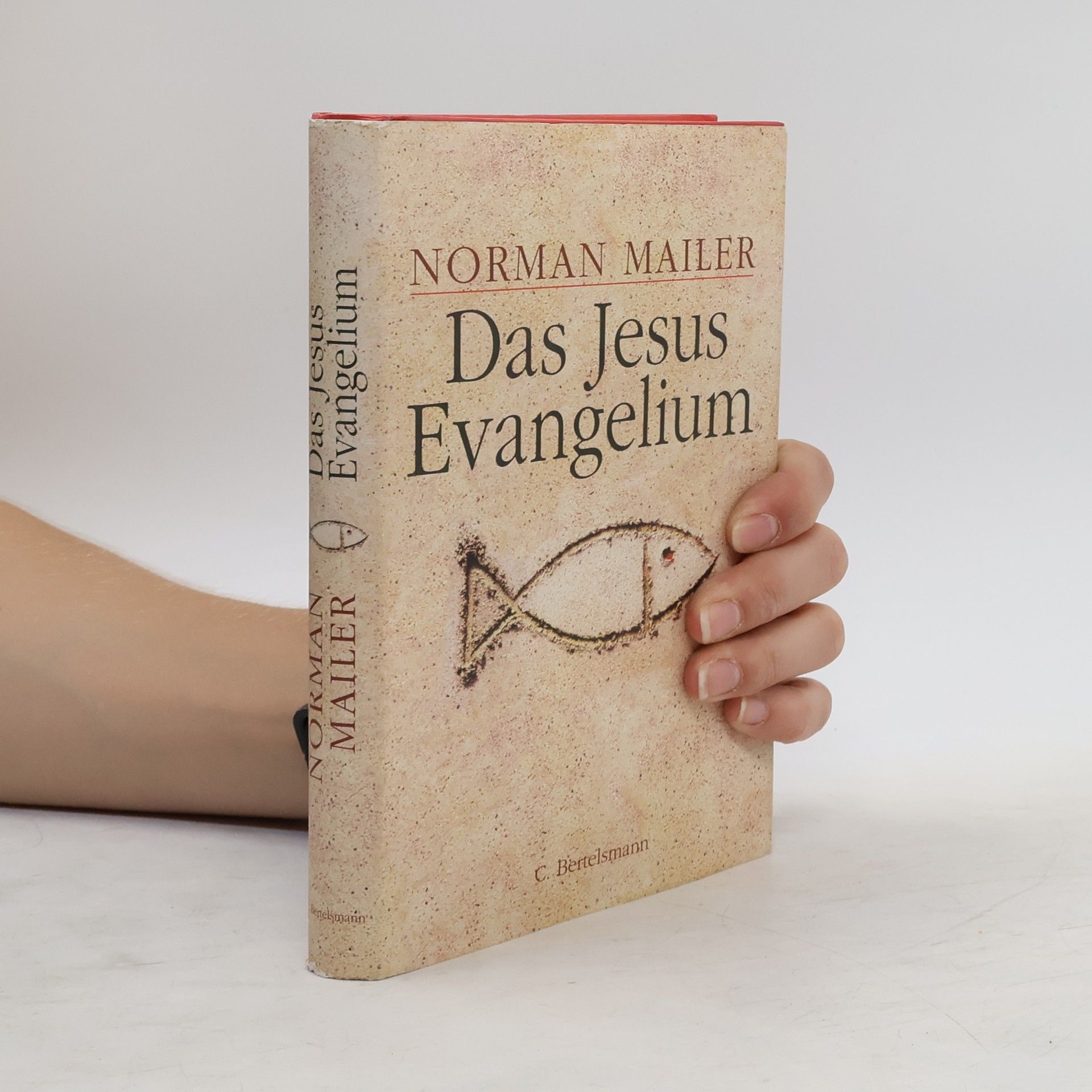 Norman Mailer Das Jesus-Evangelium