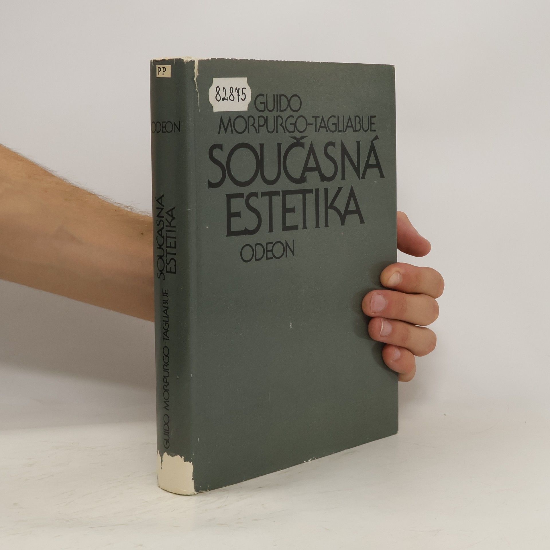 Guido Morpurgo Tagliabue Současná estetika