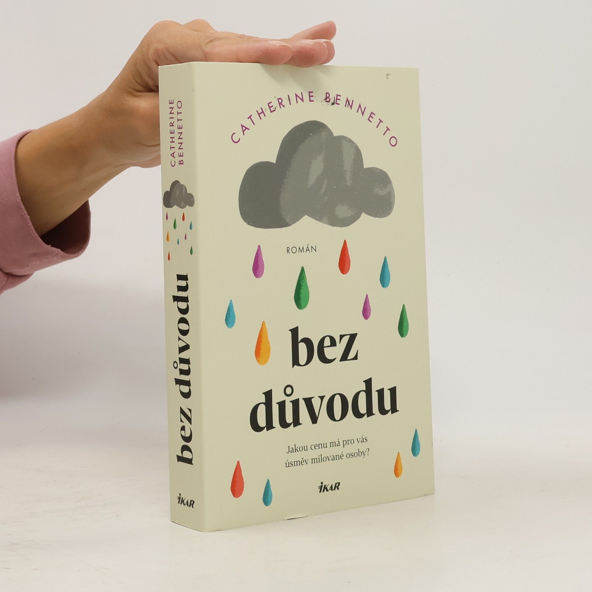 Irena Steinerová Bez důvodu
