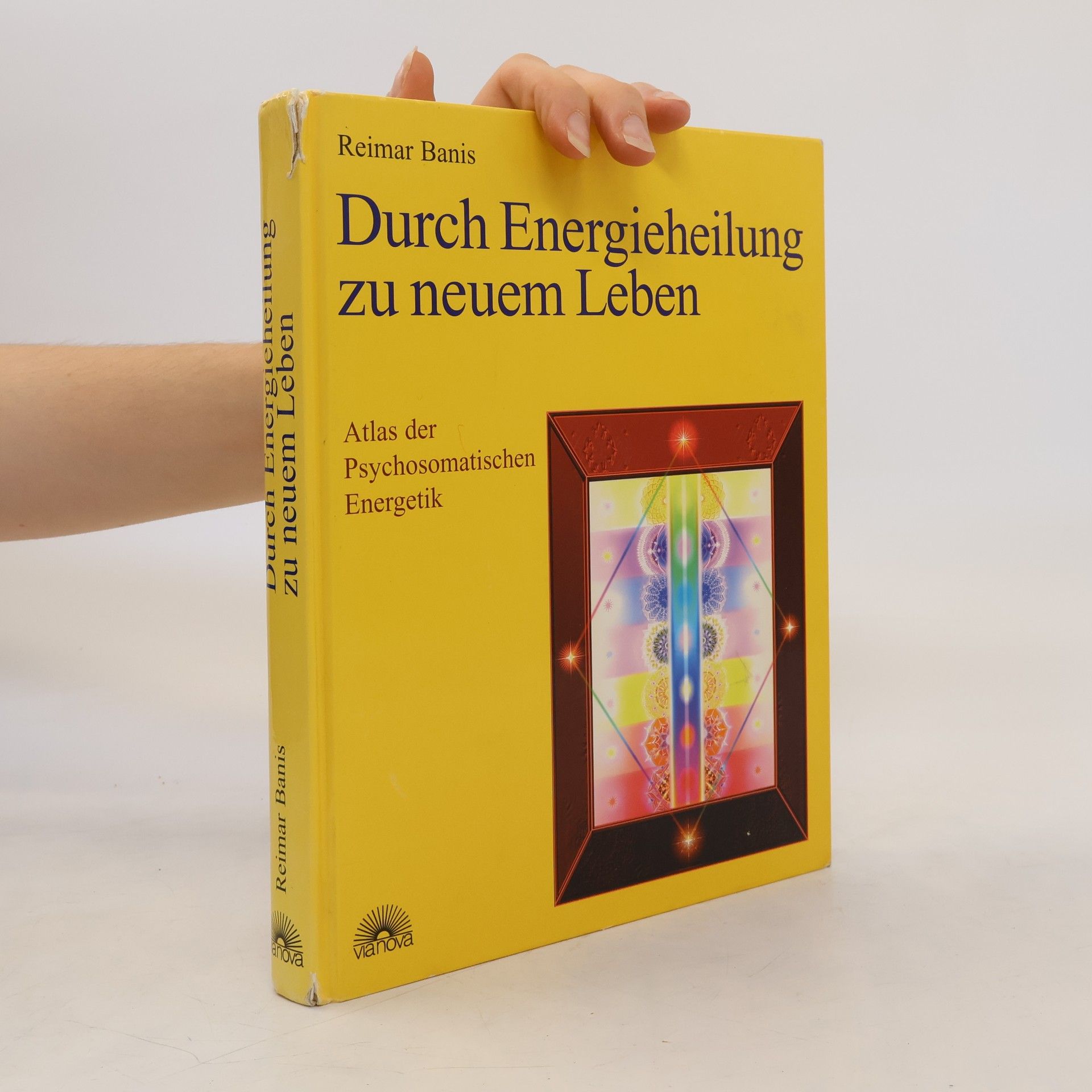 Reimar Banis Atlas der psychosomatischen Energetik 1