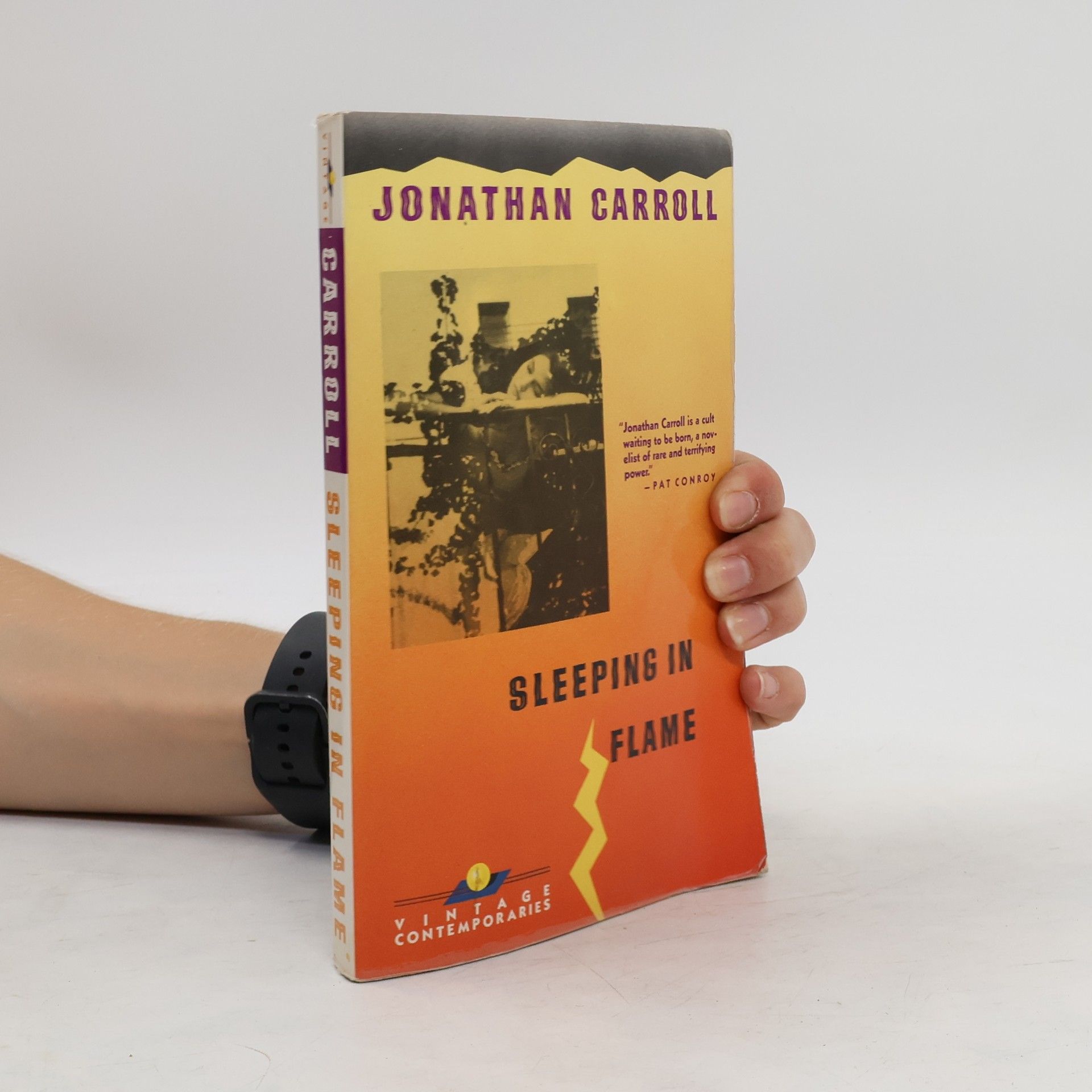 Jonathan Carroll Sleeping in Flame