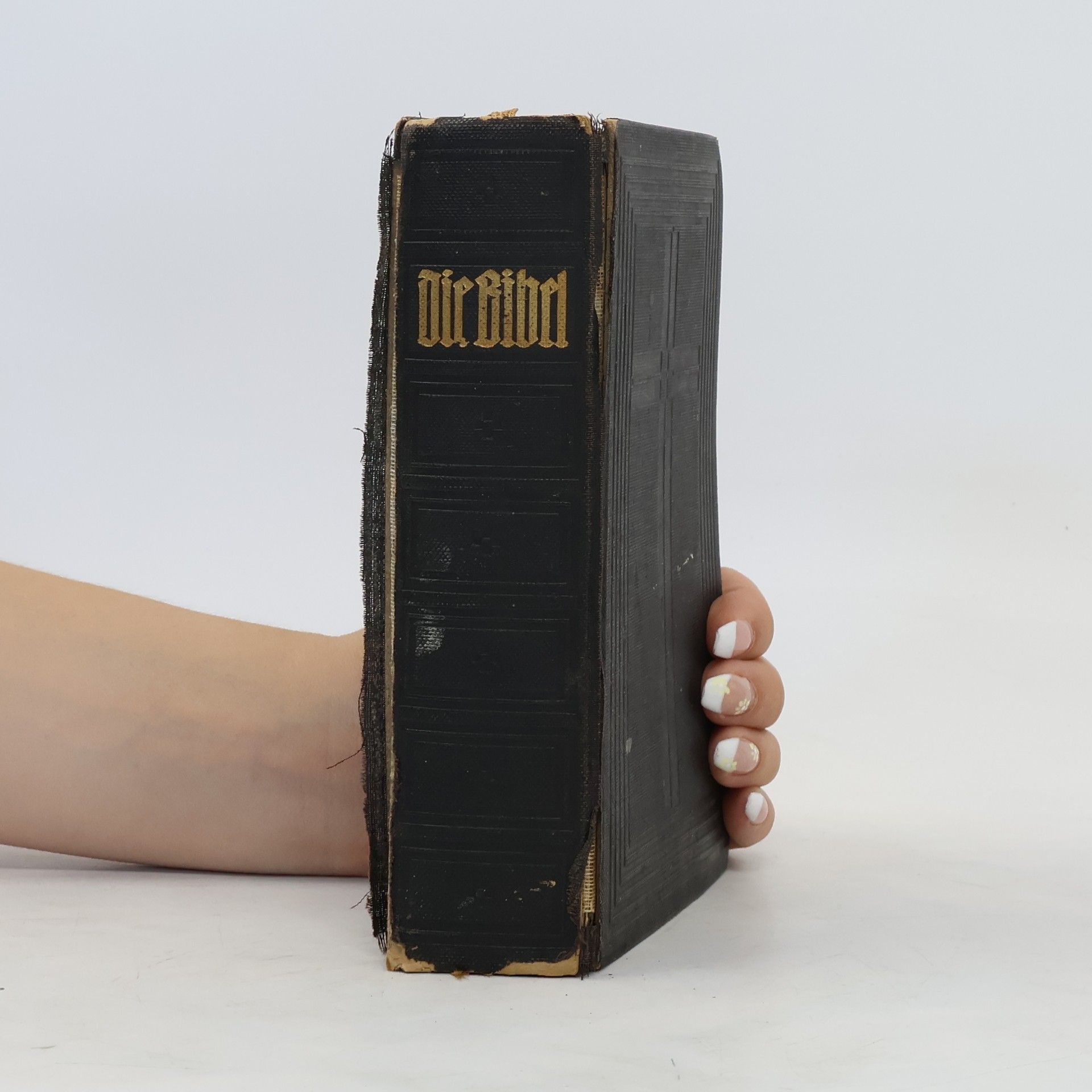 Martin Luther Die Bibel oder die ganze Heilige Schrift des Alten u. Neuen Testaments