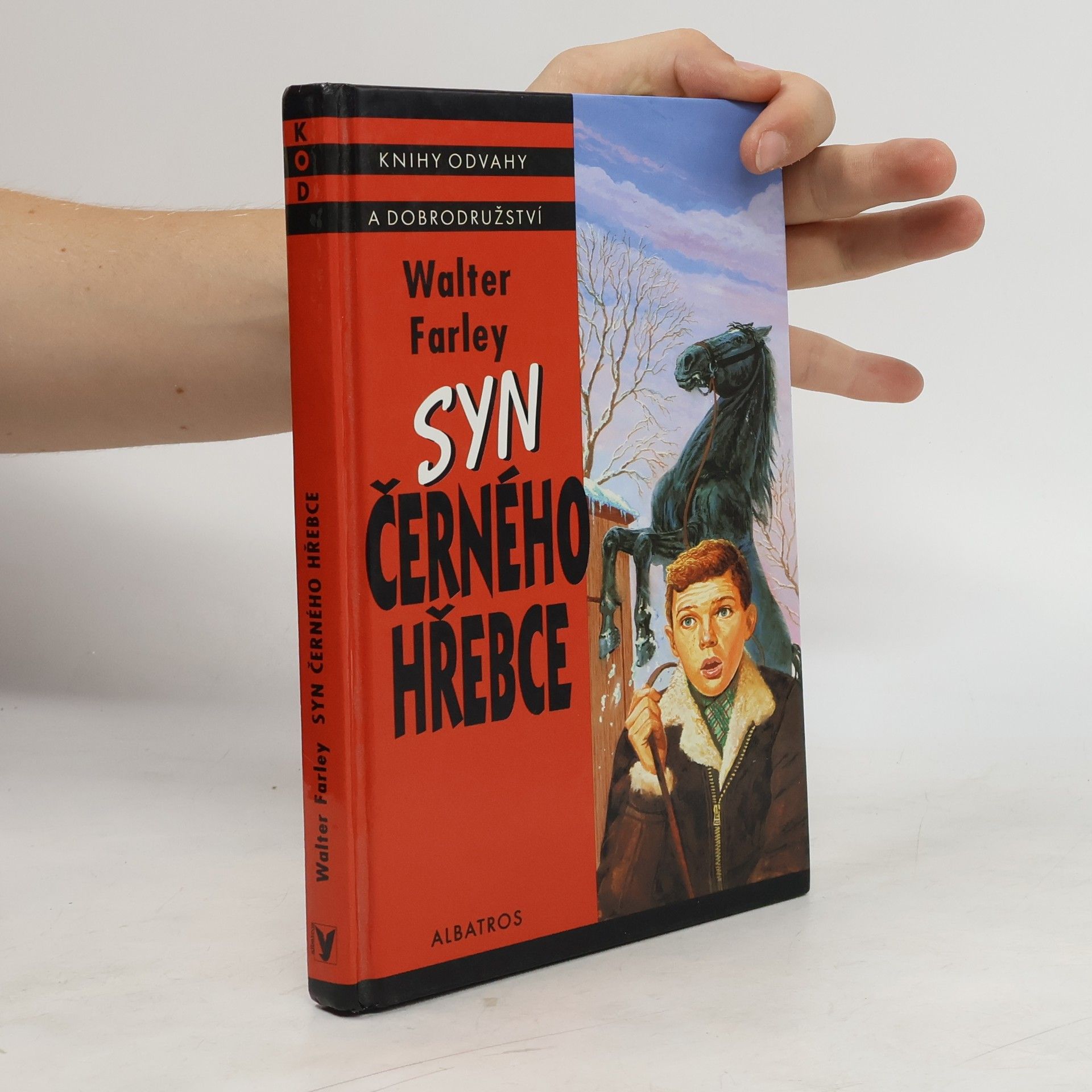 Walter Farley Syn černého hřebce