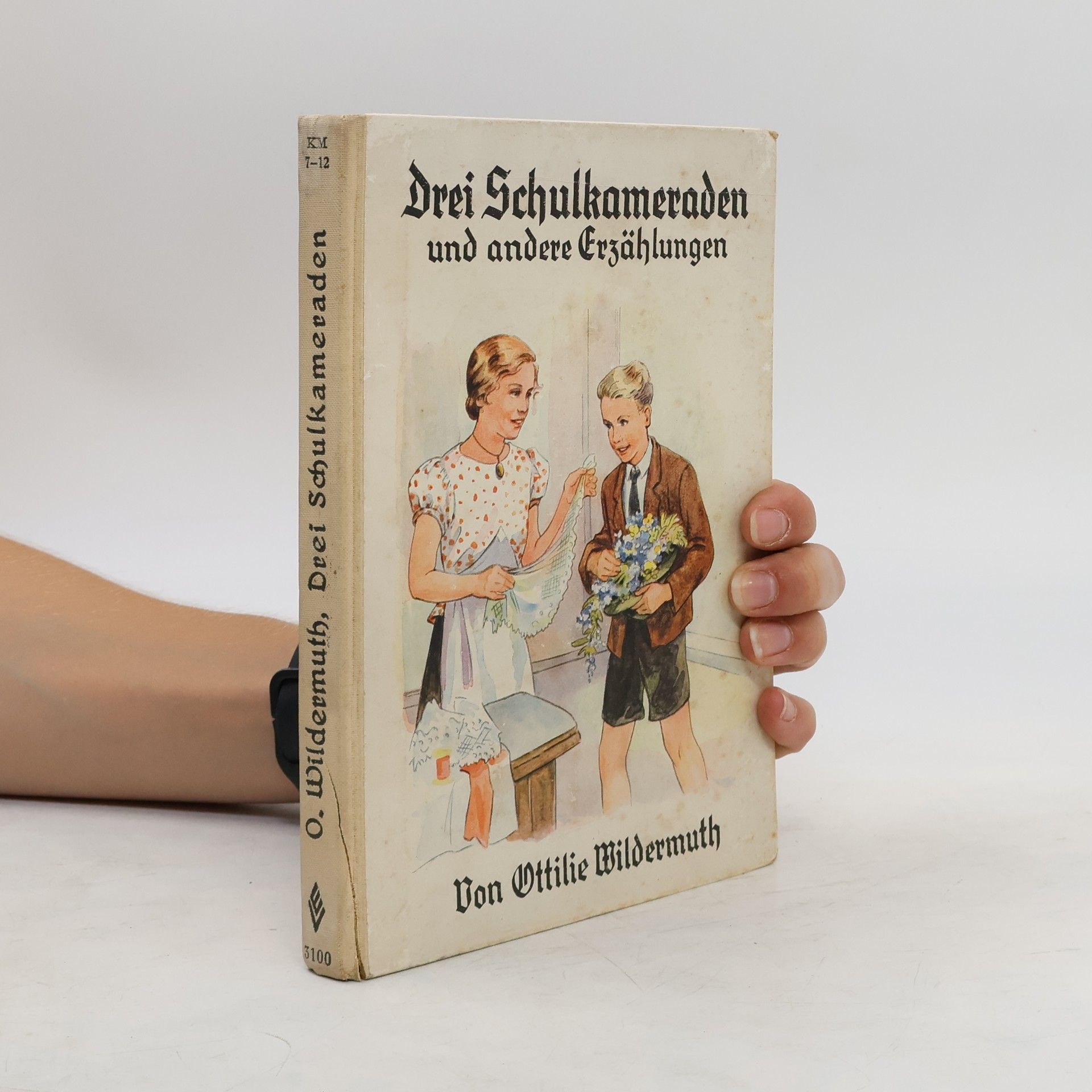Ottilie Wildermuth Drei Schulkameraden und andere Erzählungen