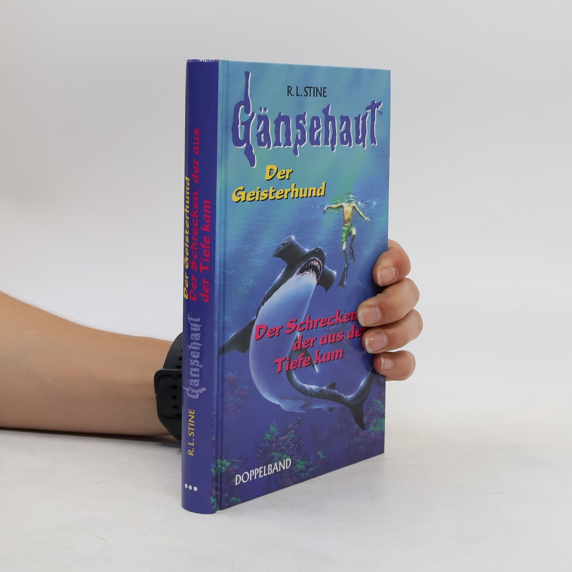 R. L. Stine Gänsehaut. Der Geisterhund