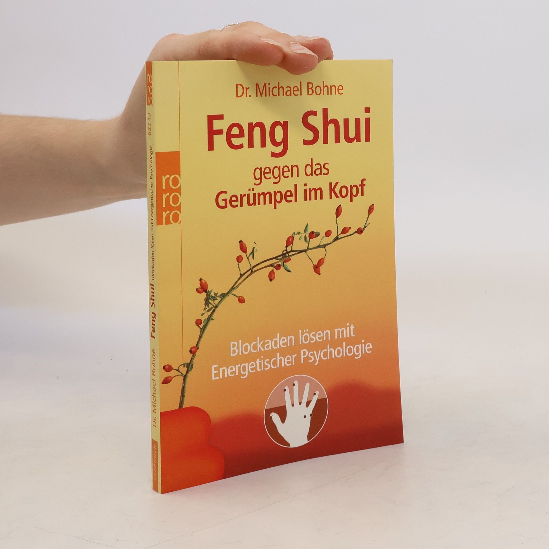 Michael Bohne Feng-Shui gegen das Gerümpel im Kopf