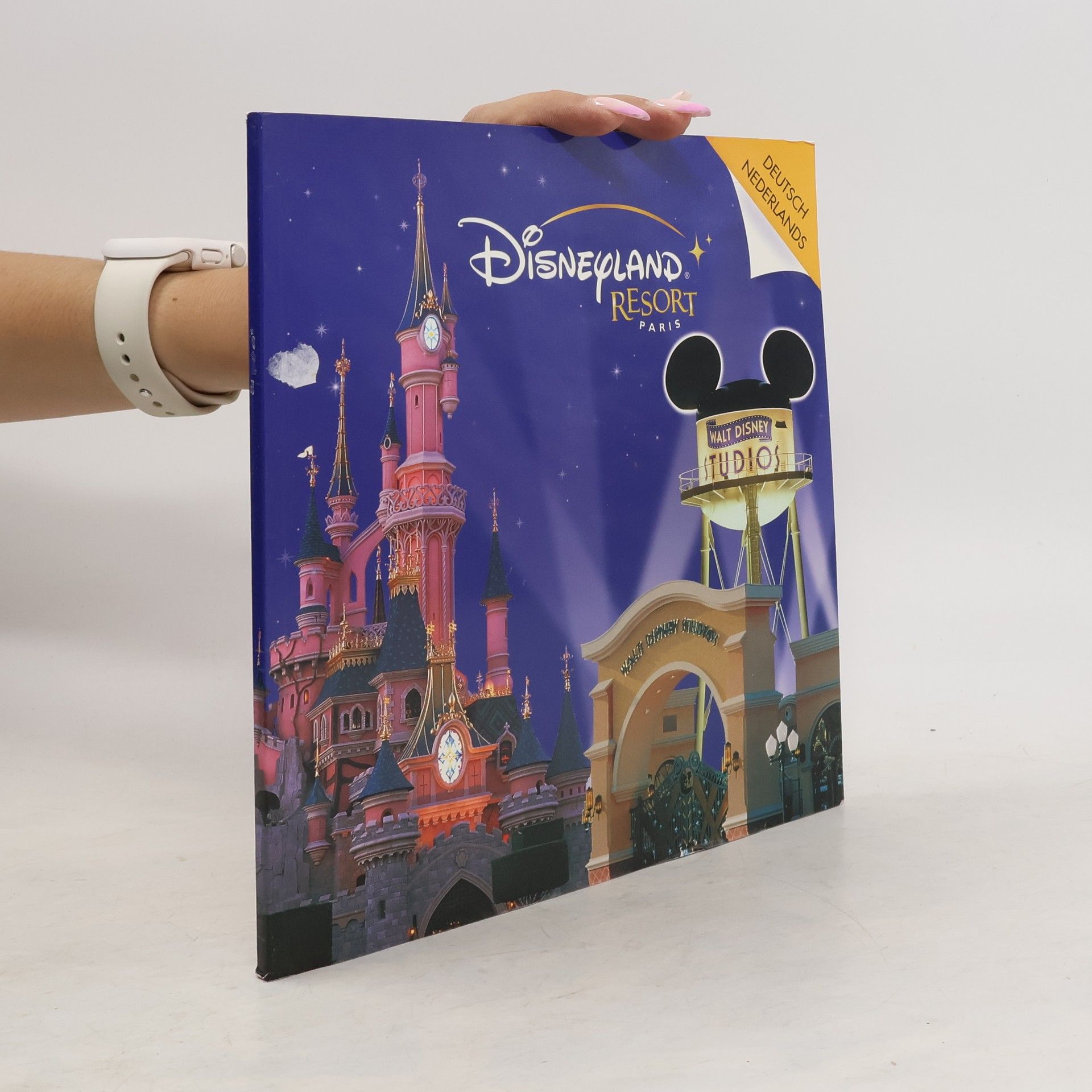 Collectif d'auteurs Disneyland Resort Paris