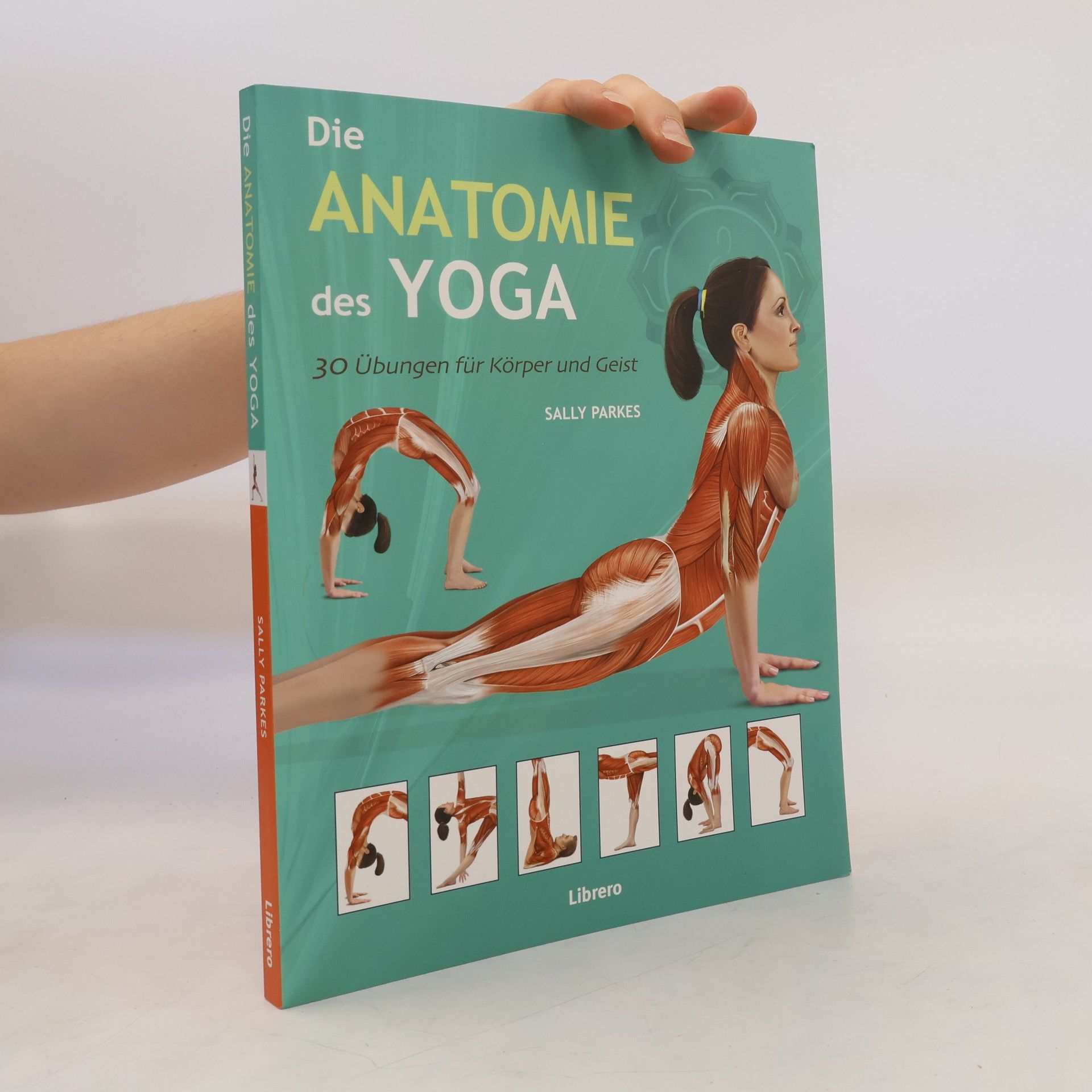 Sally Parkes Die Anatomie des Yoga