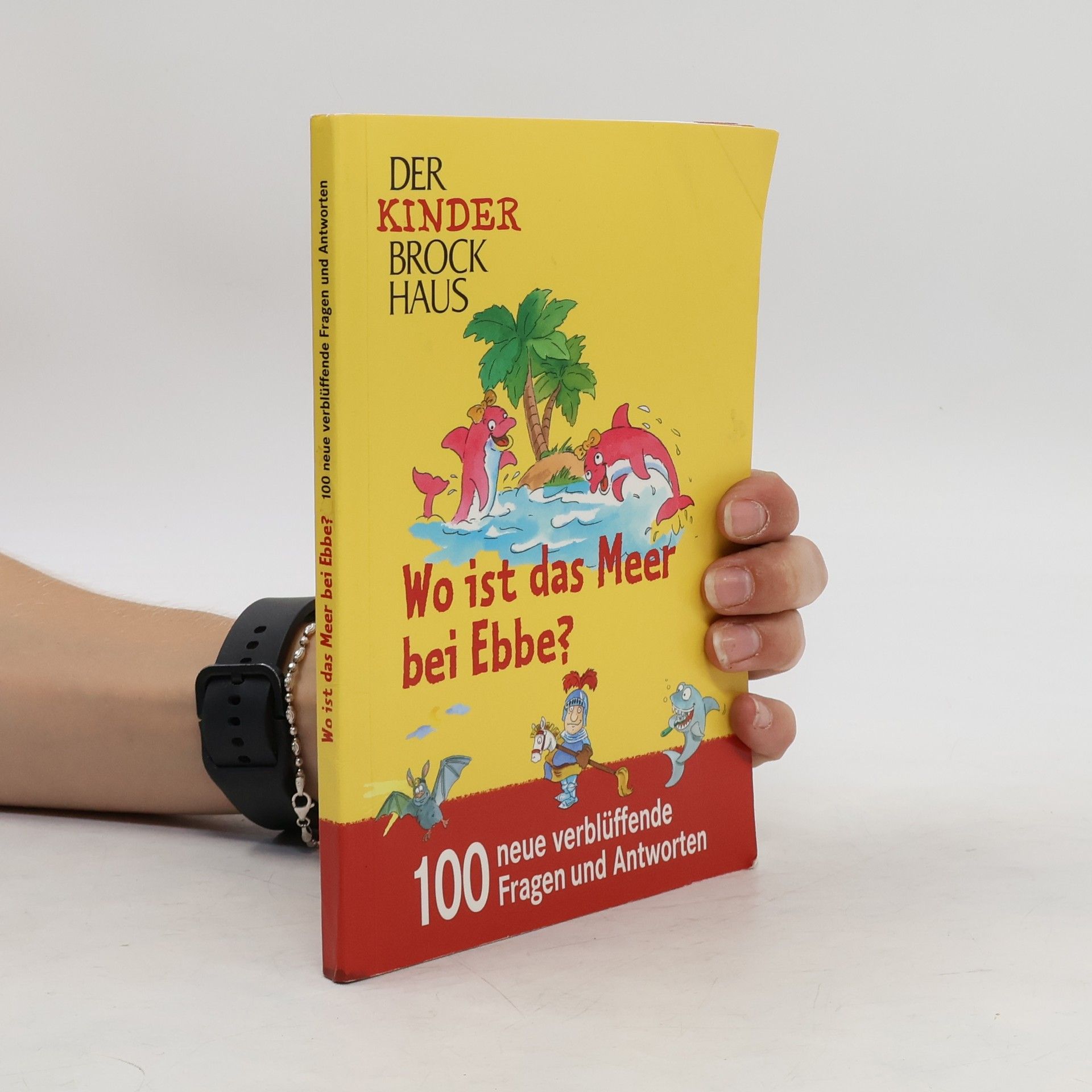 Autorenkollektiv Wo ist das Meer bei Ebbe?