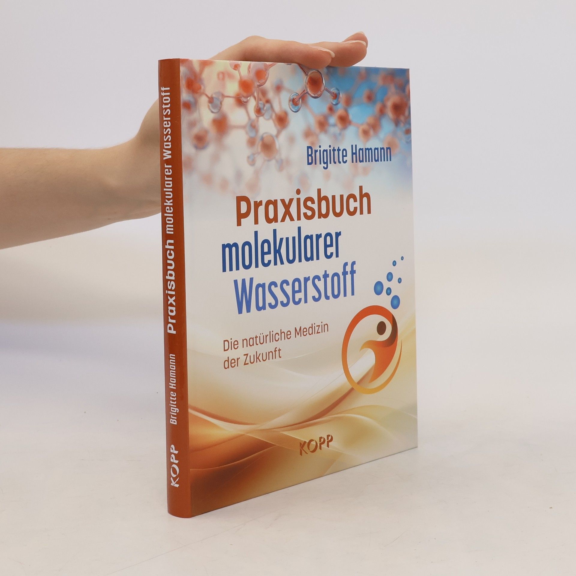 Brigitte Hamannová Praxisbuch molekularer Wasserstoff