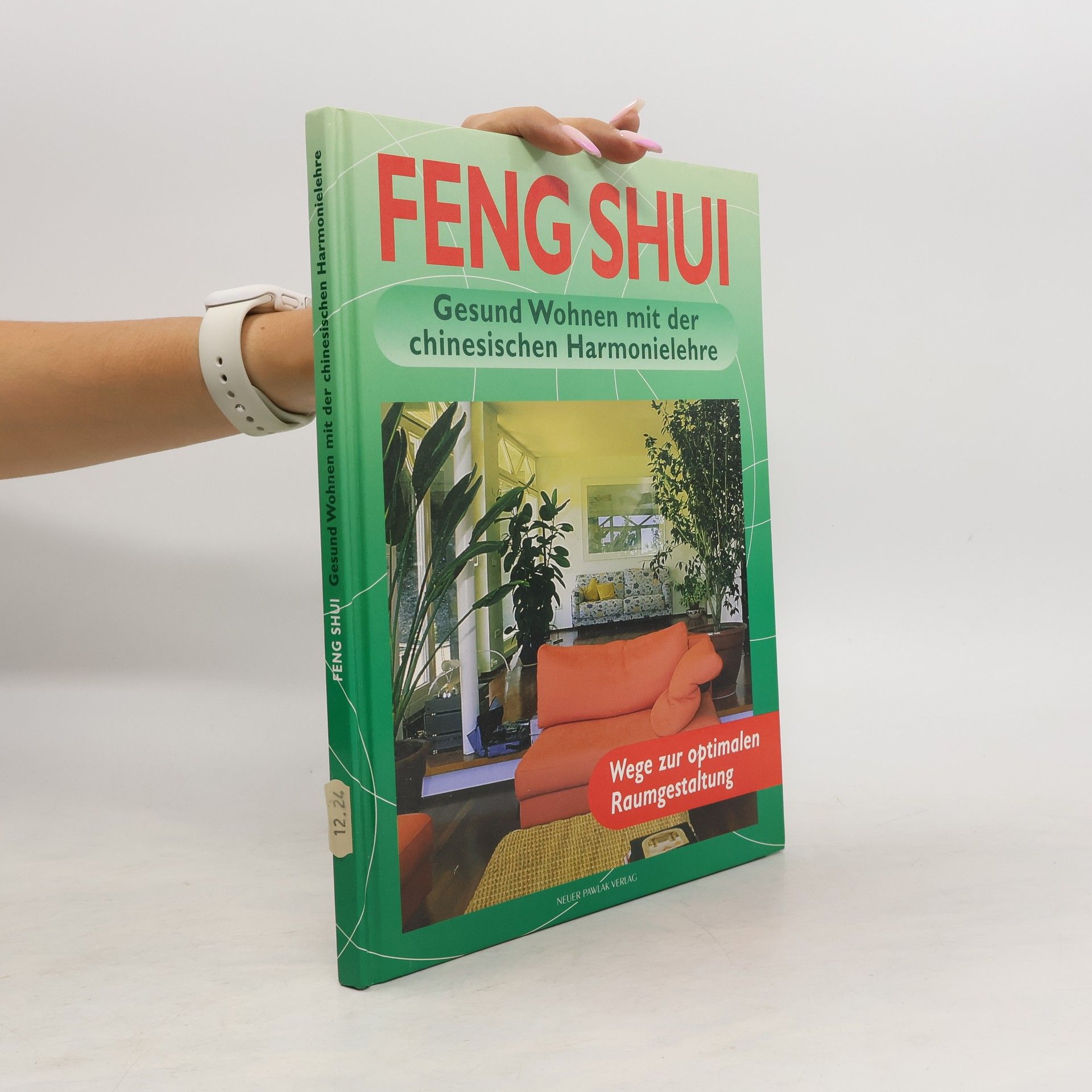 Georgia Schwarz Feng Shui