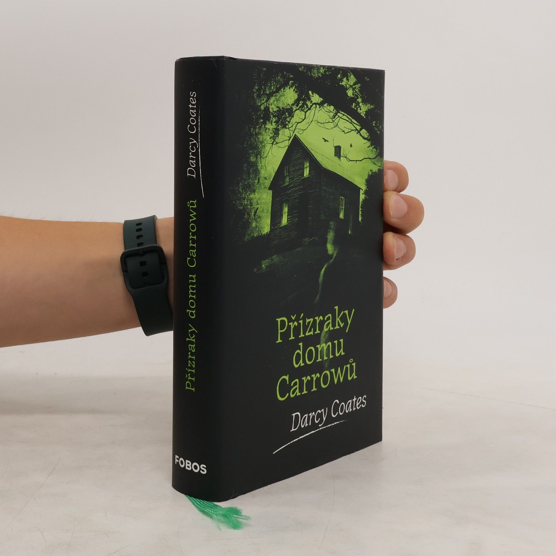 Darcy Coates Přízraky domu Carrowů