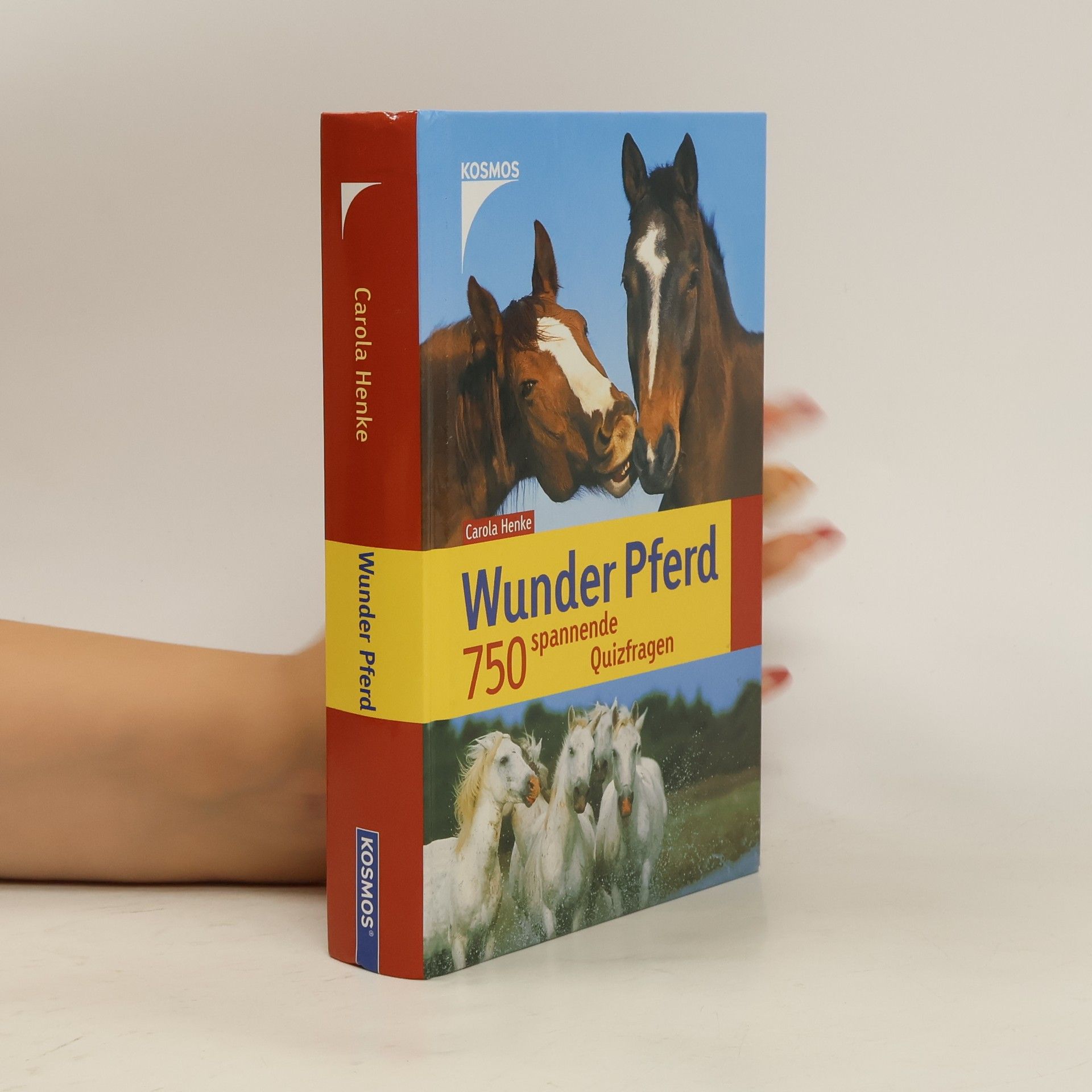 Carola Henke Wunder Pferd