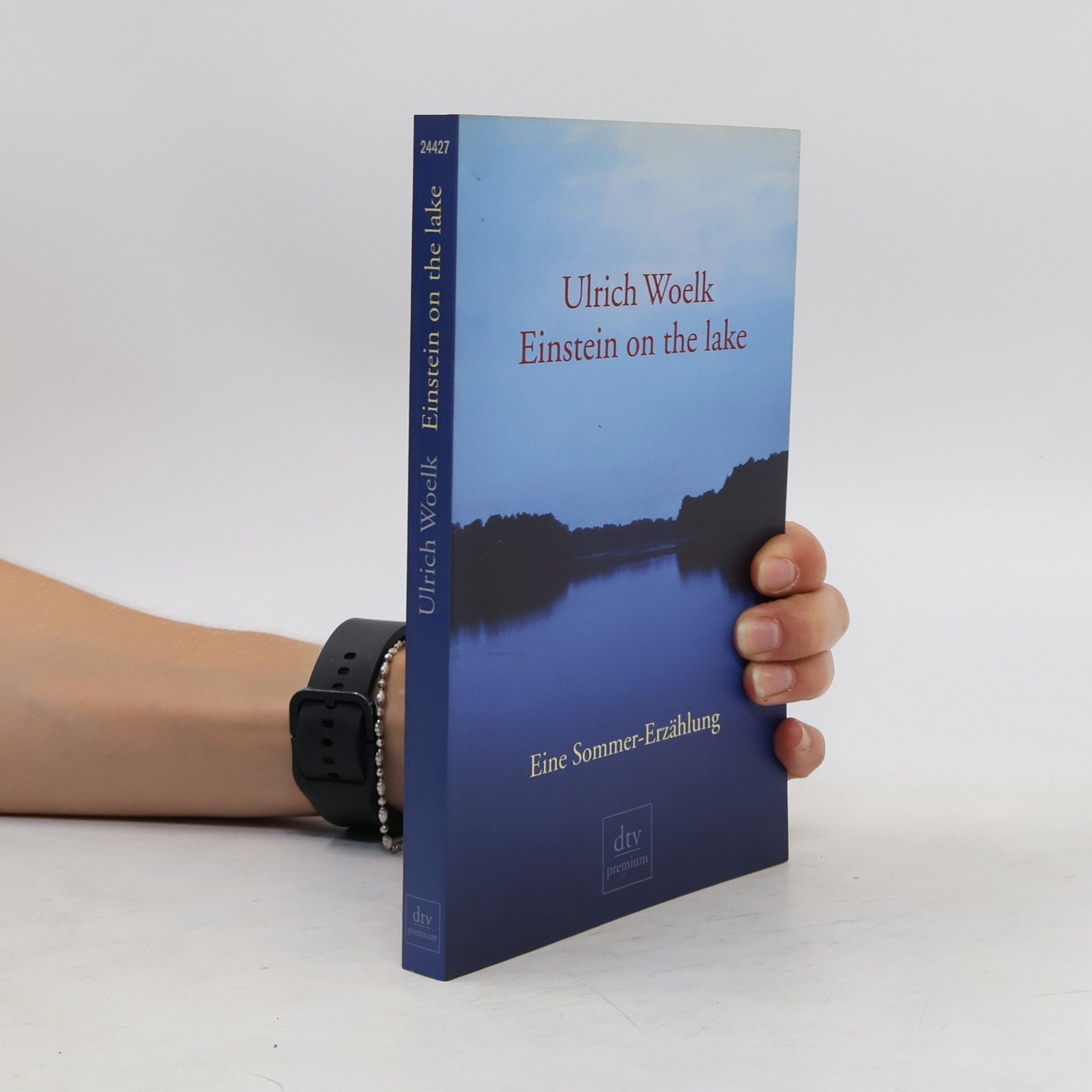 Ulrich Woelk Einstein on the lake