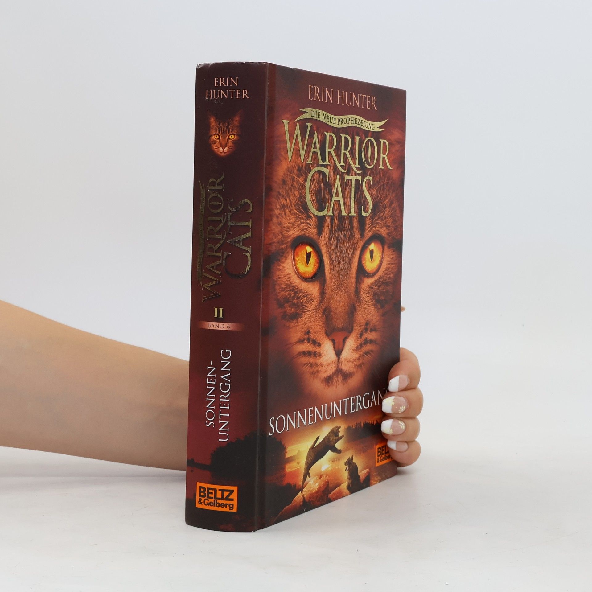 Erin Hunter Warrior Cats: Die neue Prophezeiung. Sonnenuntergang: II,6