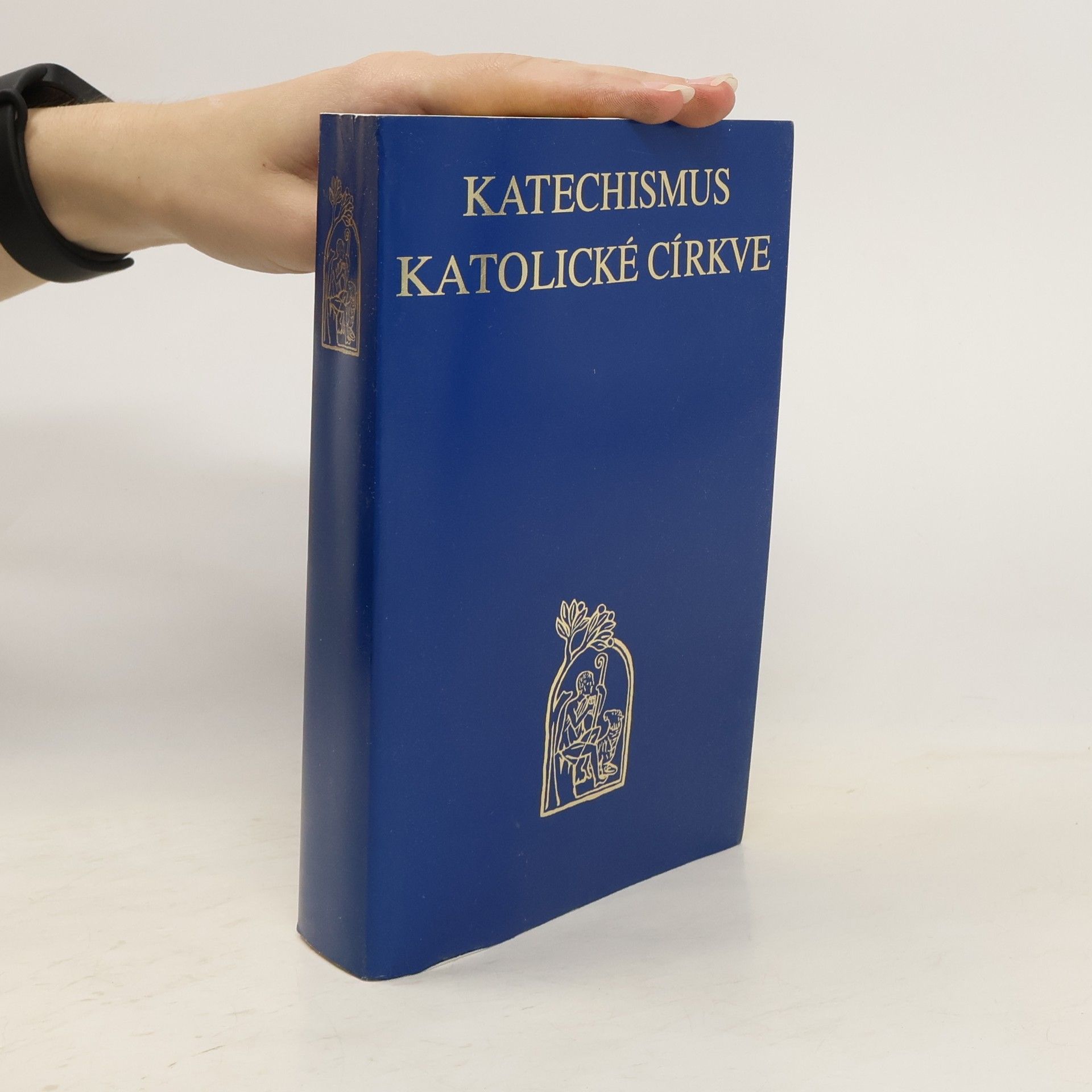 AA.VV. Katechismus katolické církve