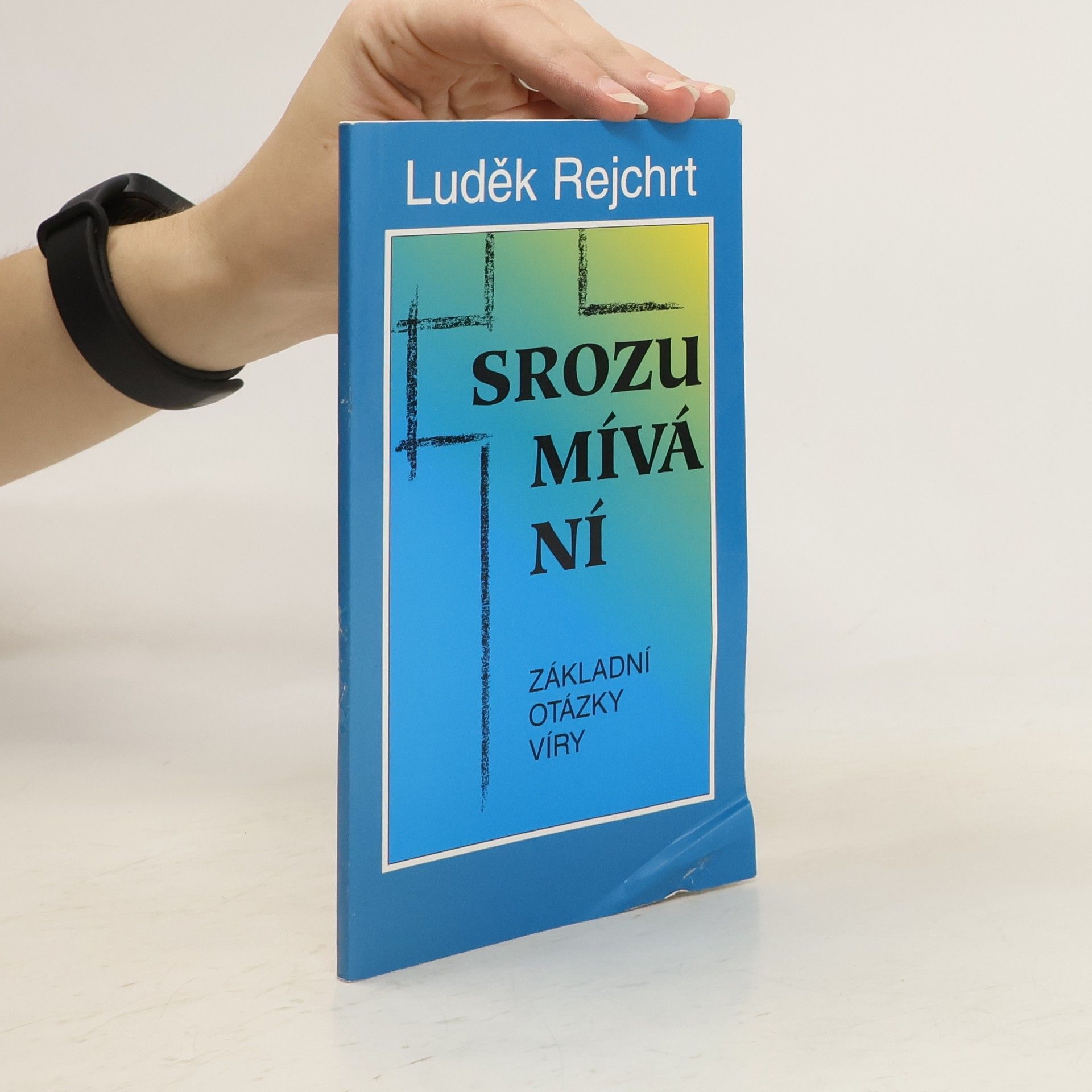 Luděk Rejchrt Srozumívání