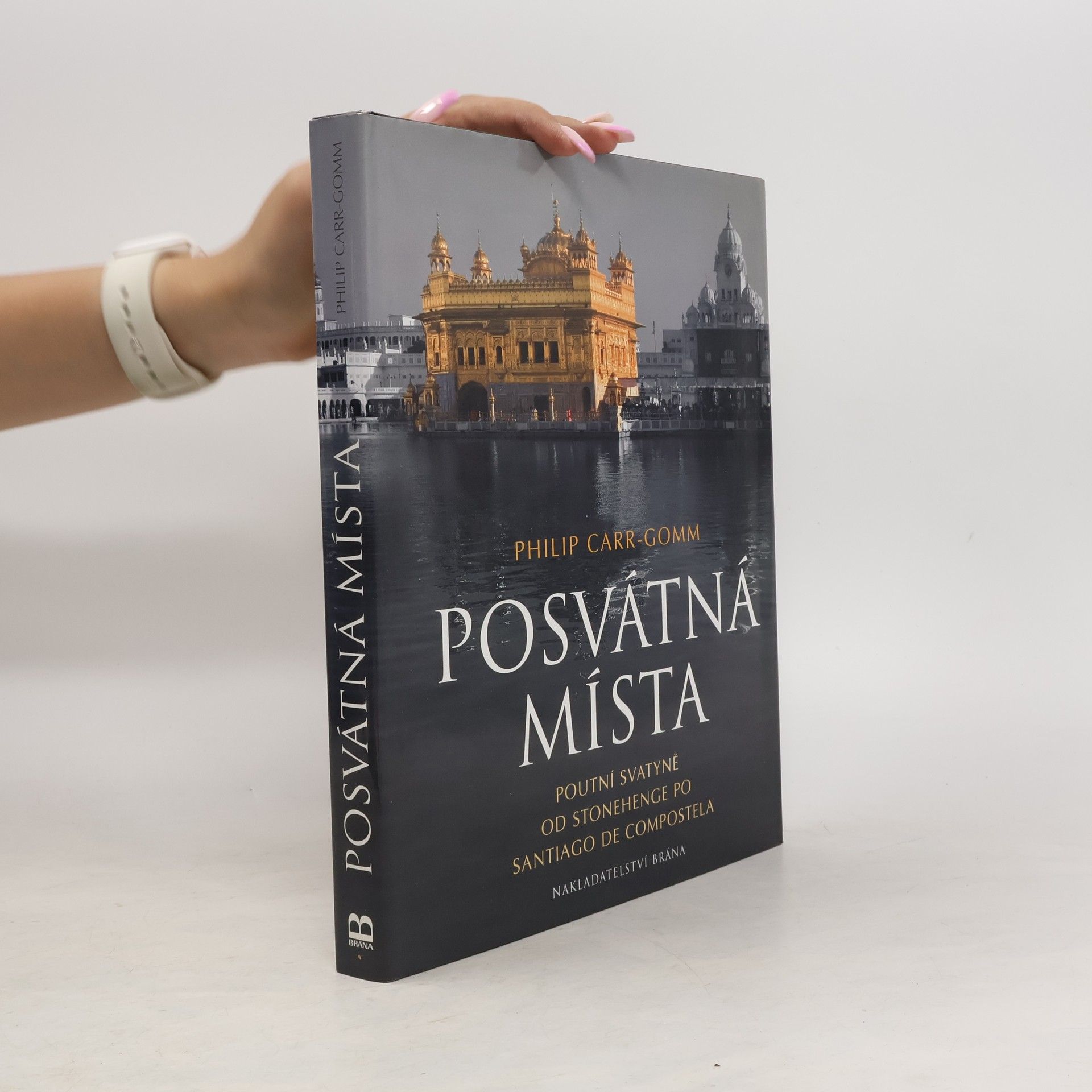 Philip Carr-Gomm Posvátná místa. Poutní svatyně od Stonehenge po Santiago de Compostela