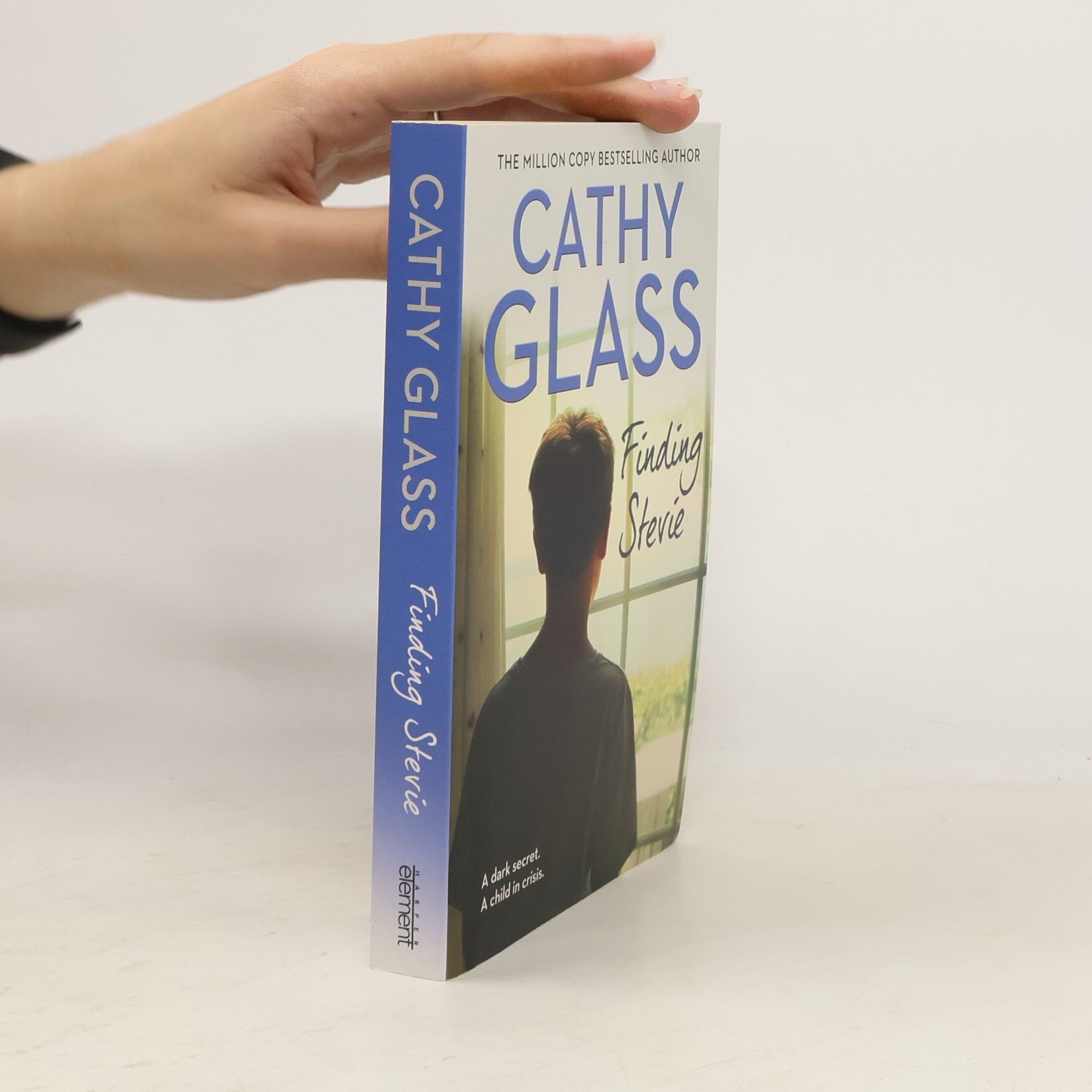 Cathy Glass Finding Stevie