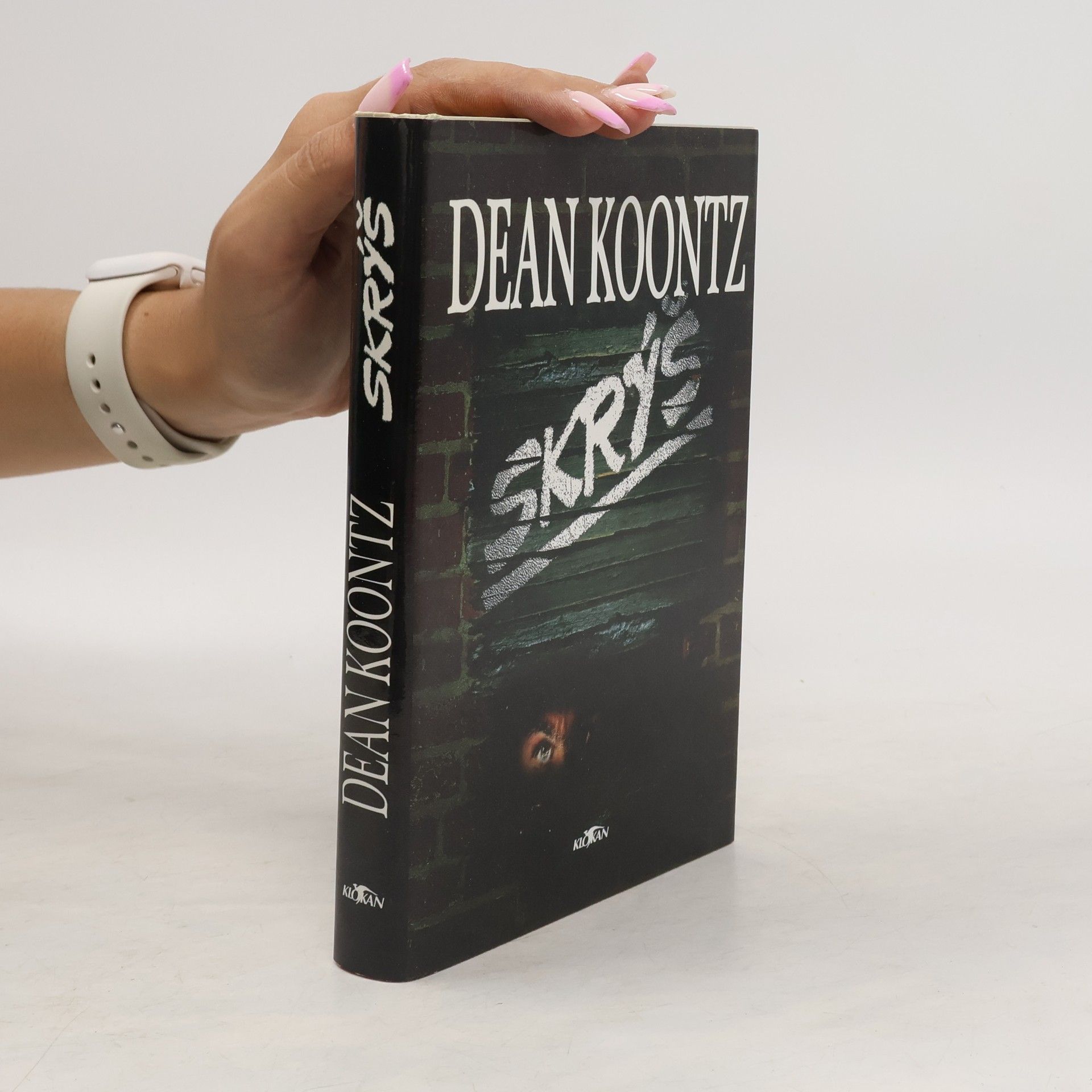 Dean R. Koontz Skrýš