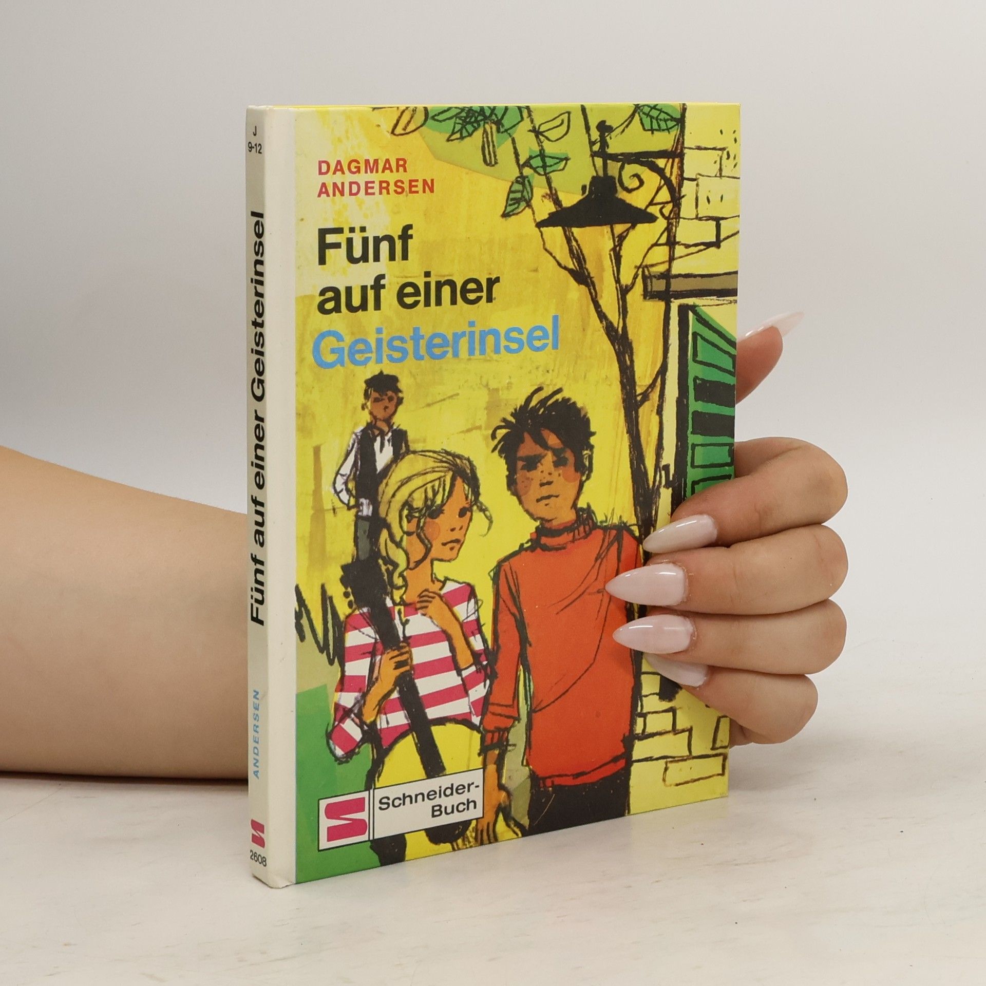Dagmar Andersen Fünf auf einer Geisterinsel