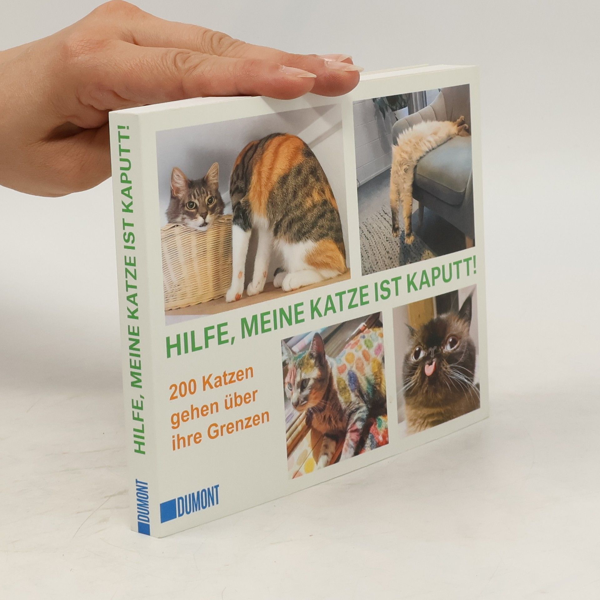 kolektiv Hilfe, meine Katze ist kaputt