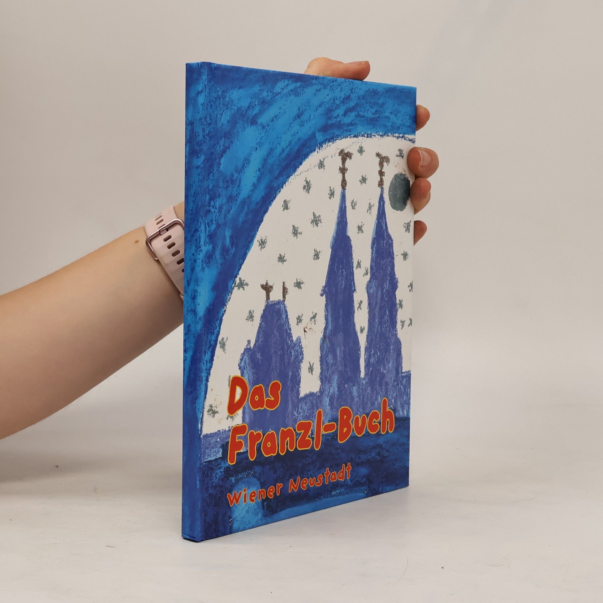 Autorenkollektiv Das Franzl-Buch. Wiener Neustadt