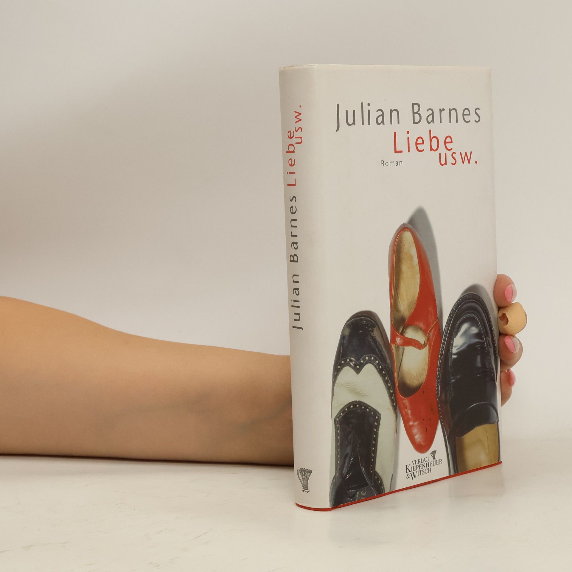 Julian Barnes Liebe usw.