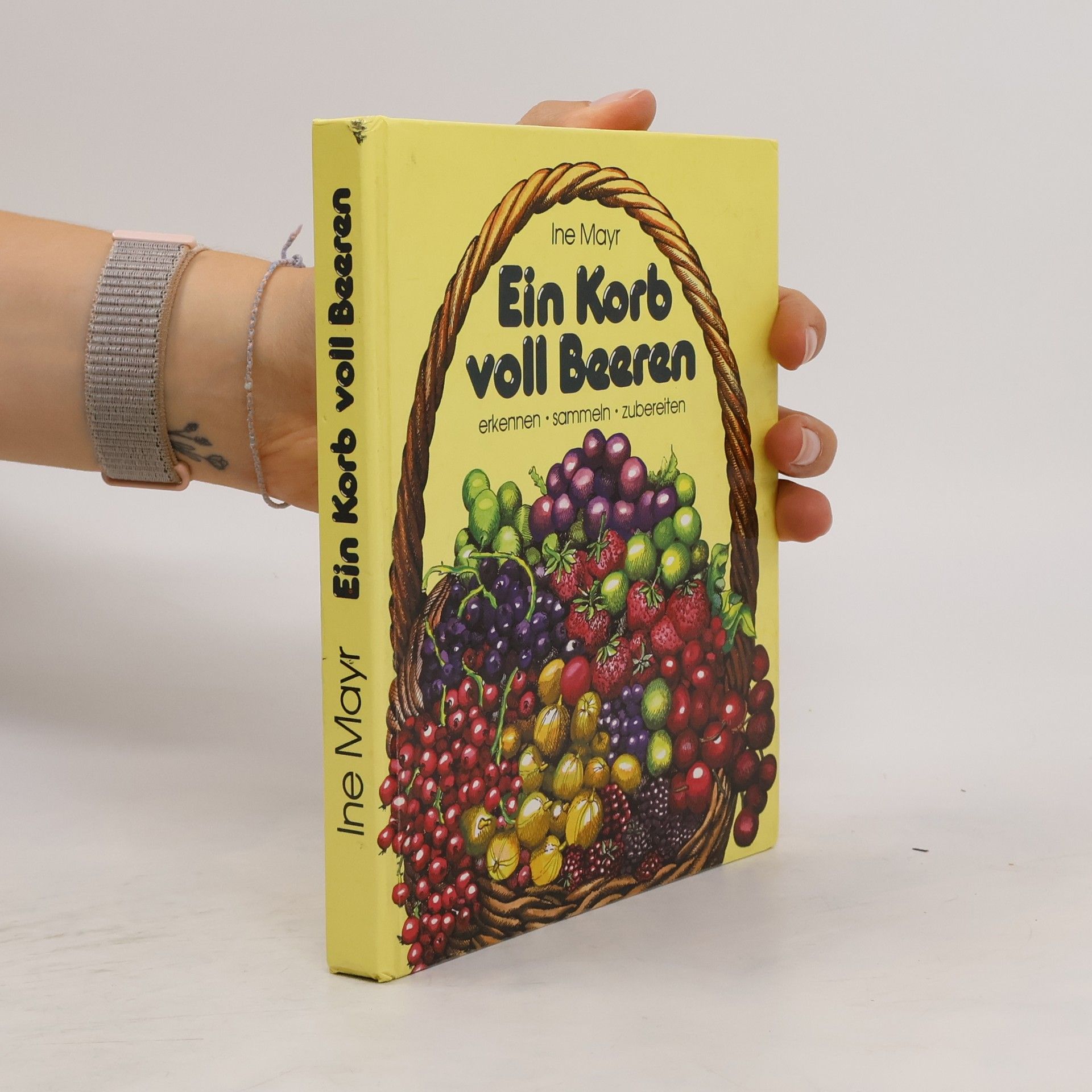 Ine Mayr Ein Korb voll Beeren