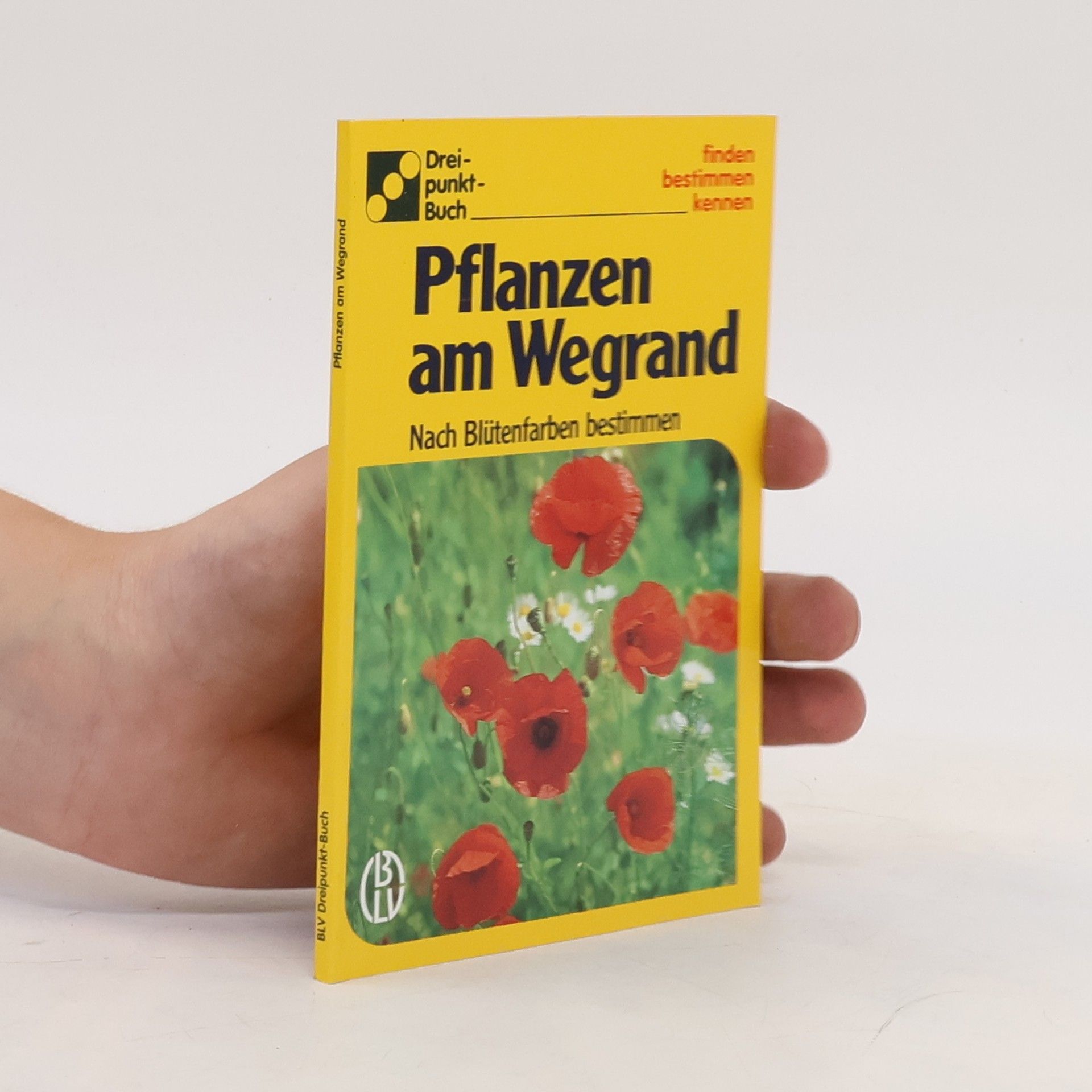 Alfred Handel Pflanzen am Wegrand