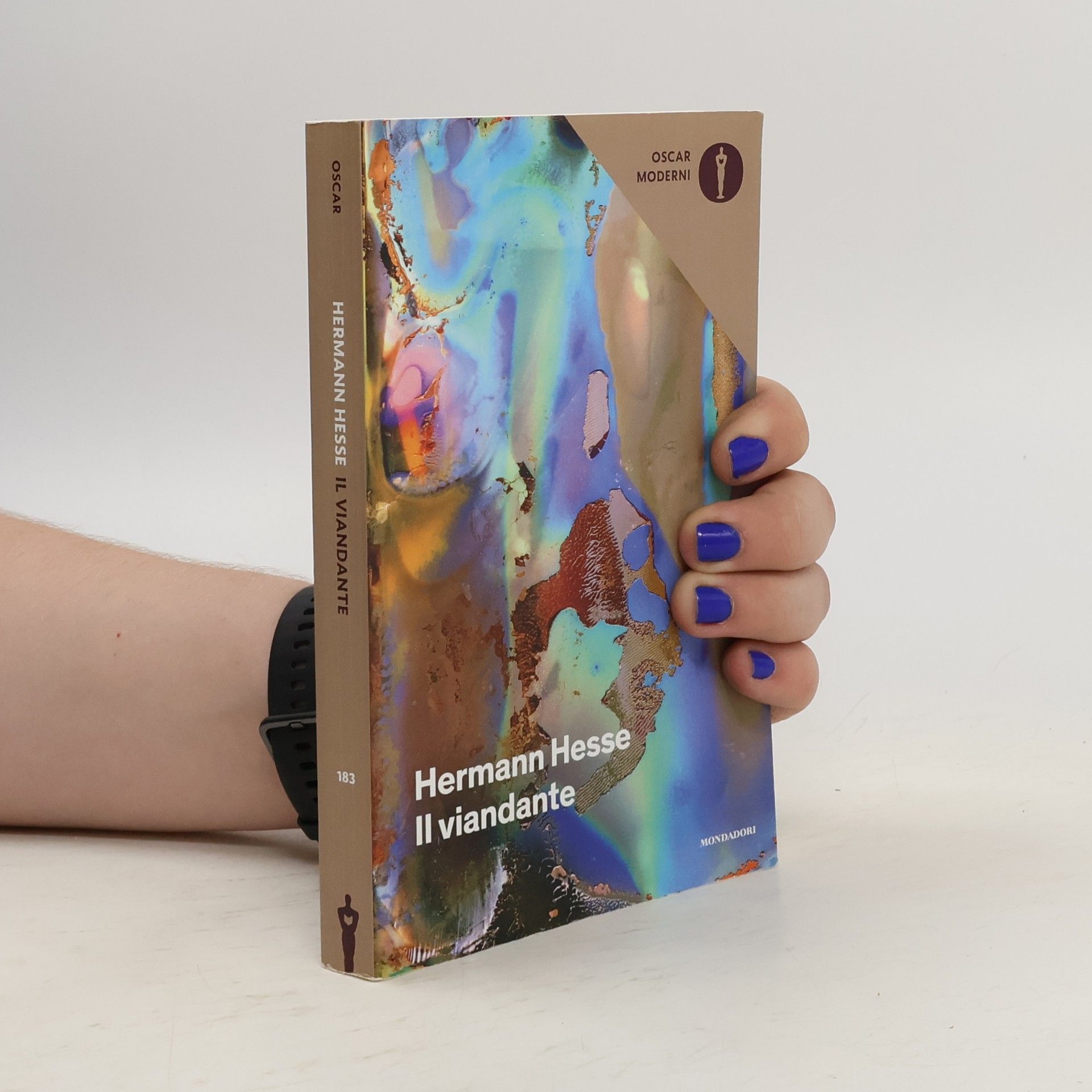 Hermann Hesse Il viandante
