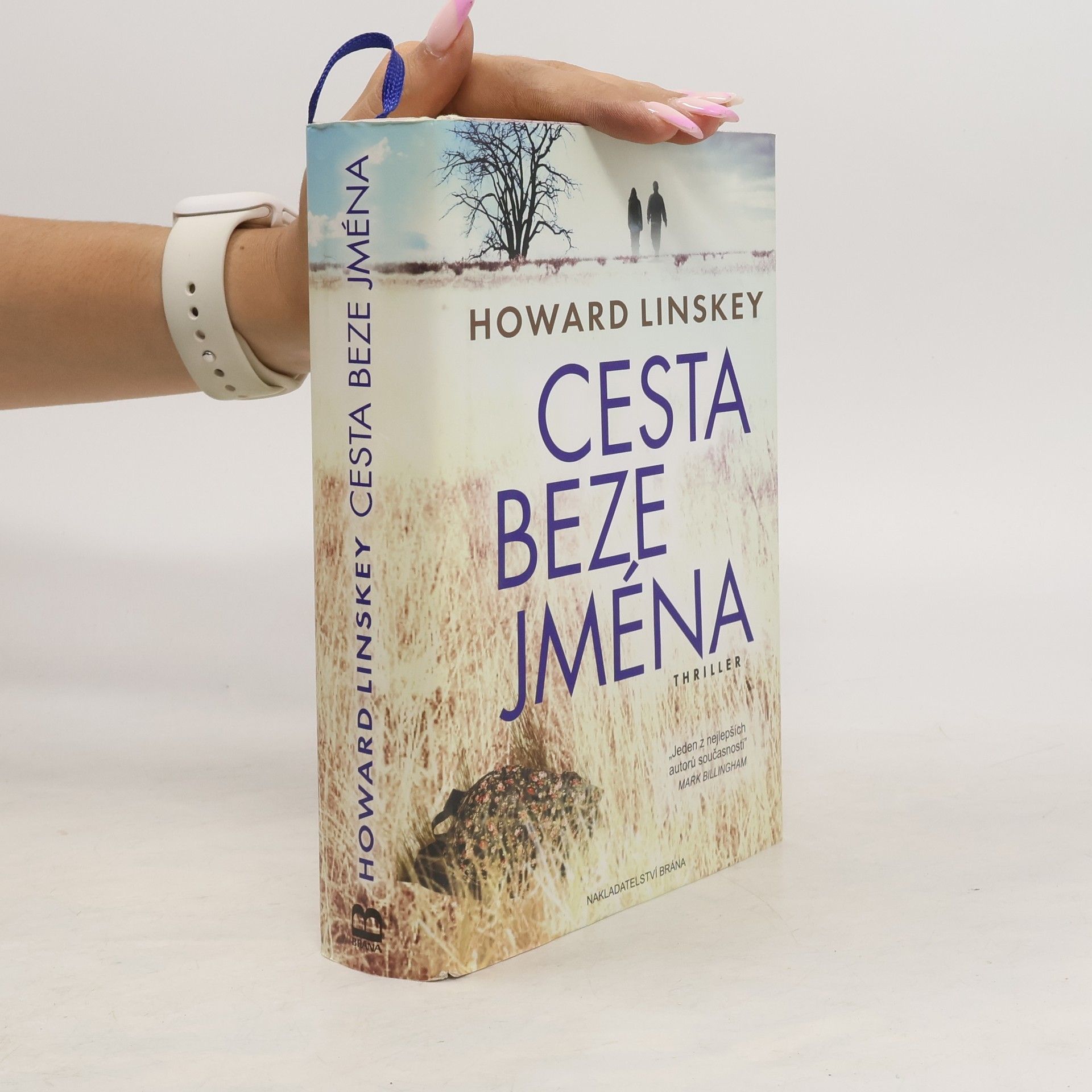 Howard Linskey Cesta beze jména