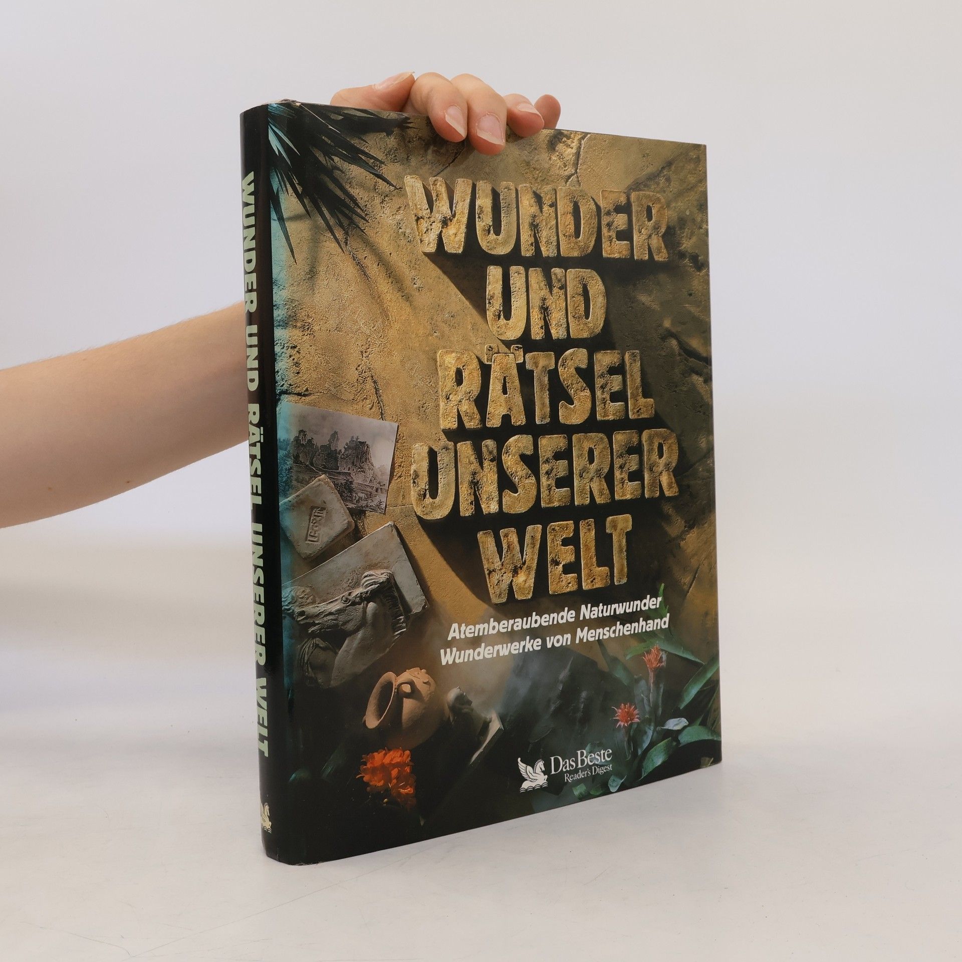 Martin Lehr Wunder und Rätsel unserer Welt