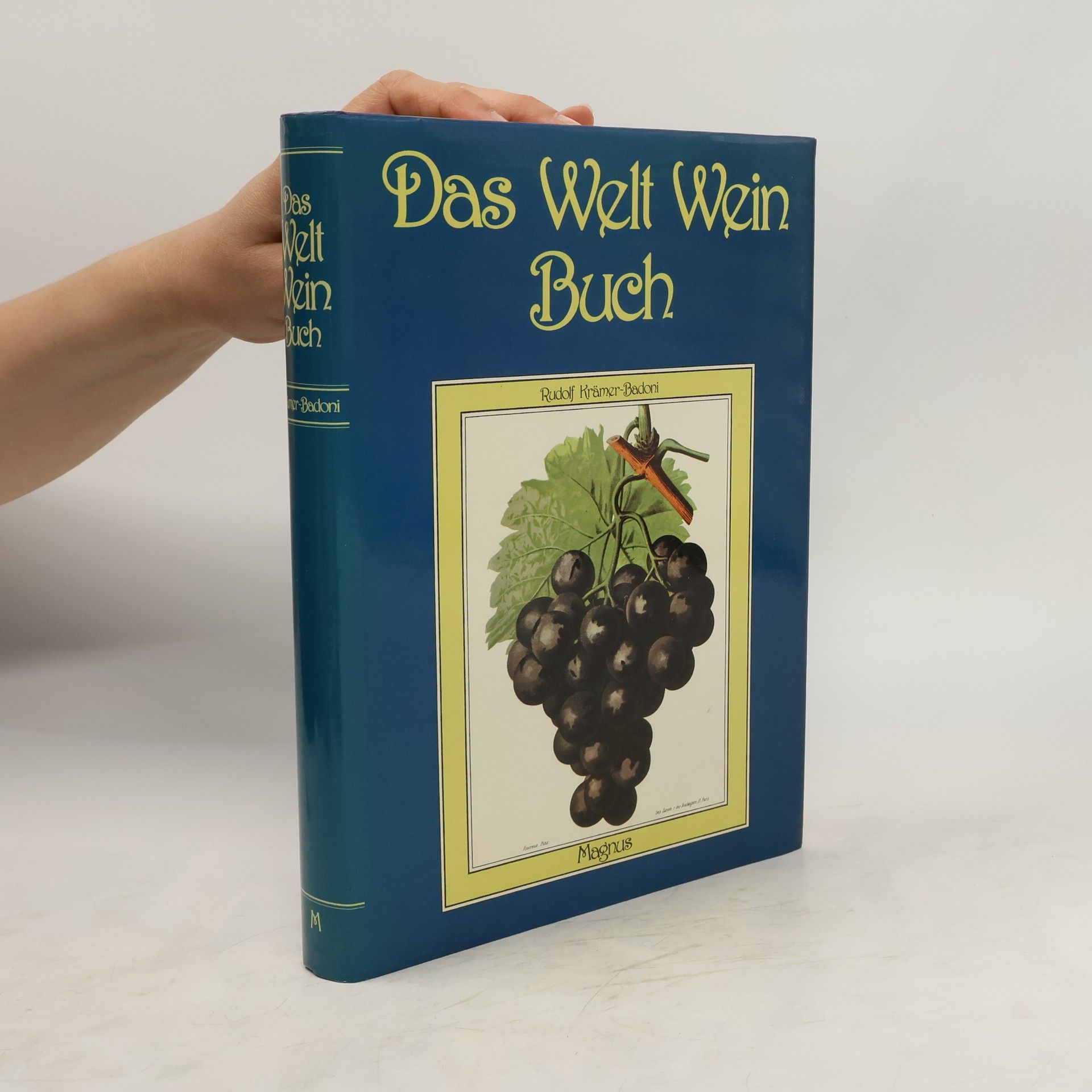 Rudolf Krämer-Badoni Das Welt-Wein-Buch
