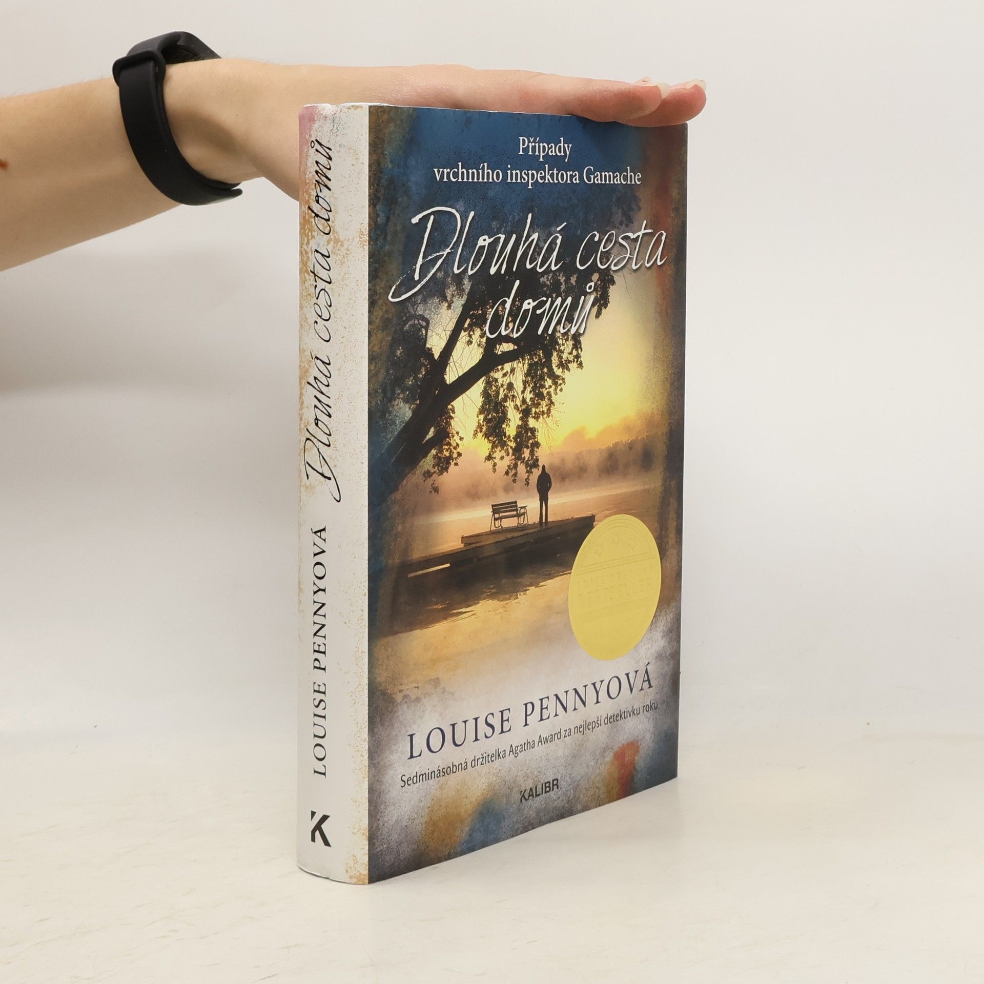 Louise Penny Dlouhá cesta domů